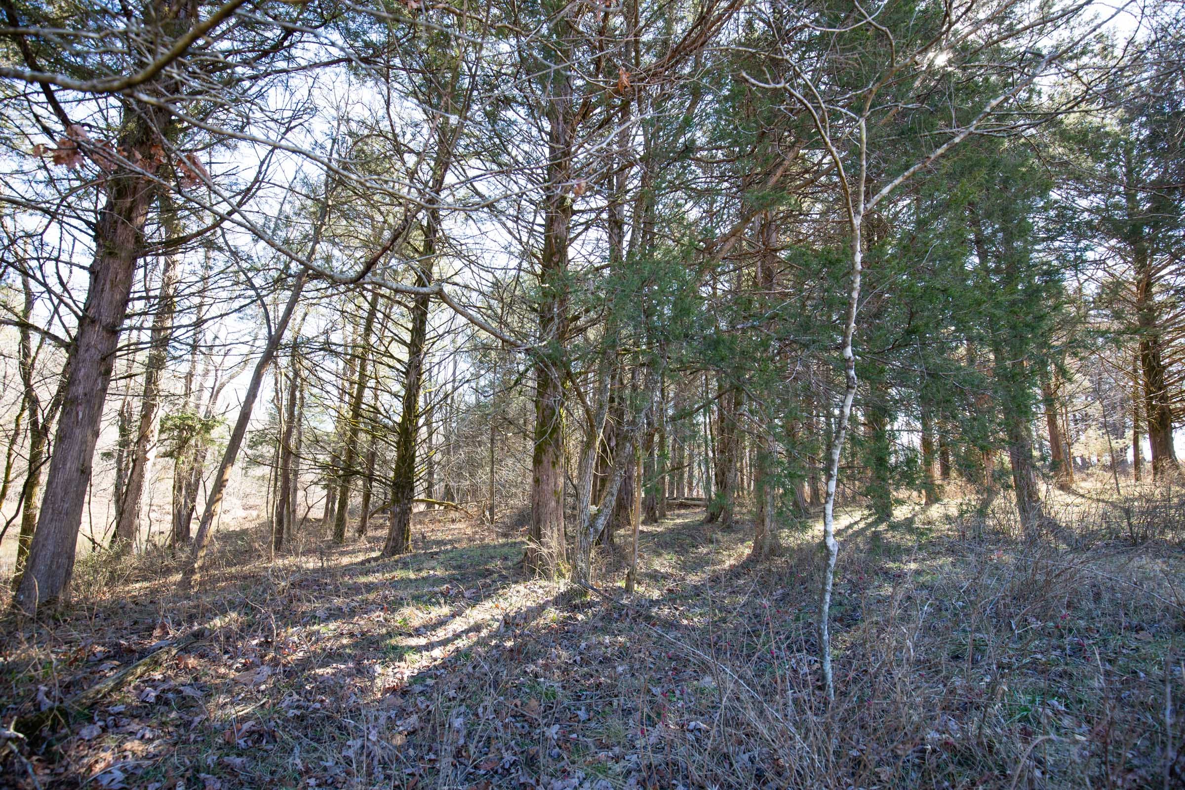 O’Connor Crossing Tract 18 photo 14