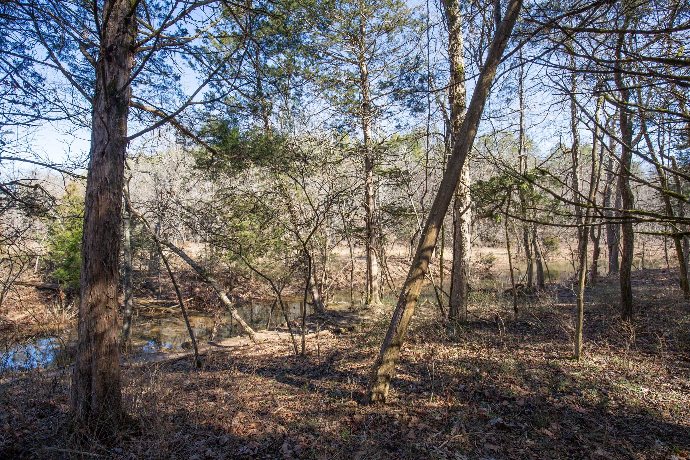 O’Connor Crossing Tract 18 photo 15