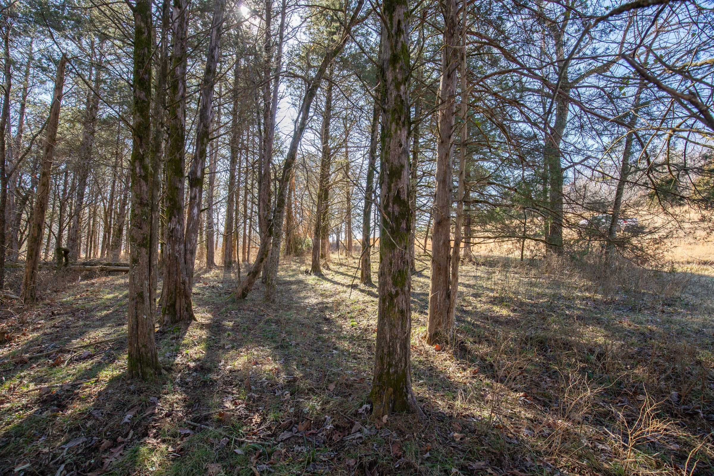 O’Connor Crossing Tract 18 photo 11