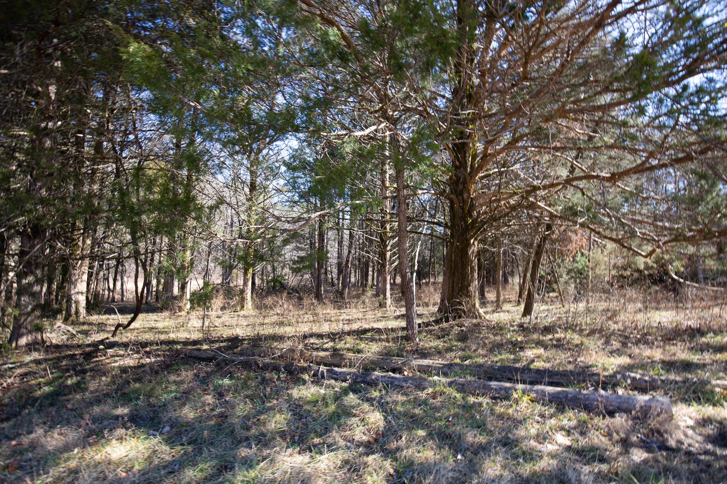 O’Connor Crossing Tract 18 photo 13