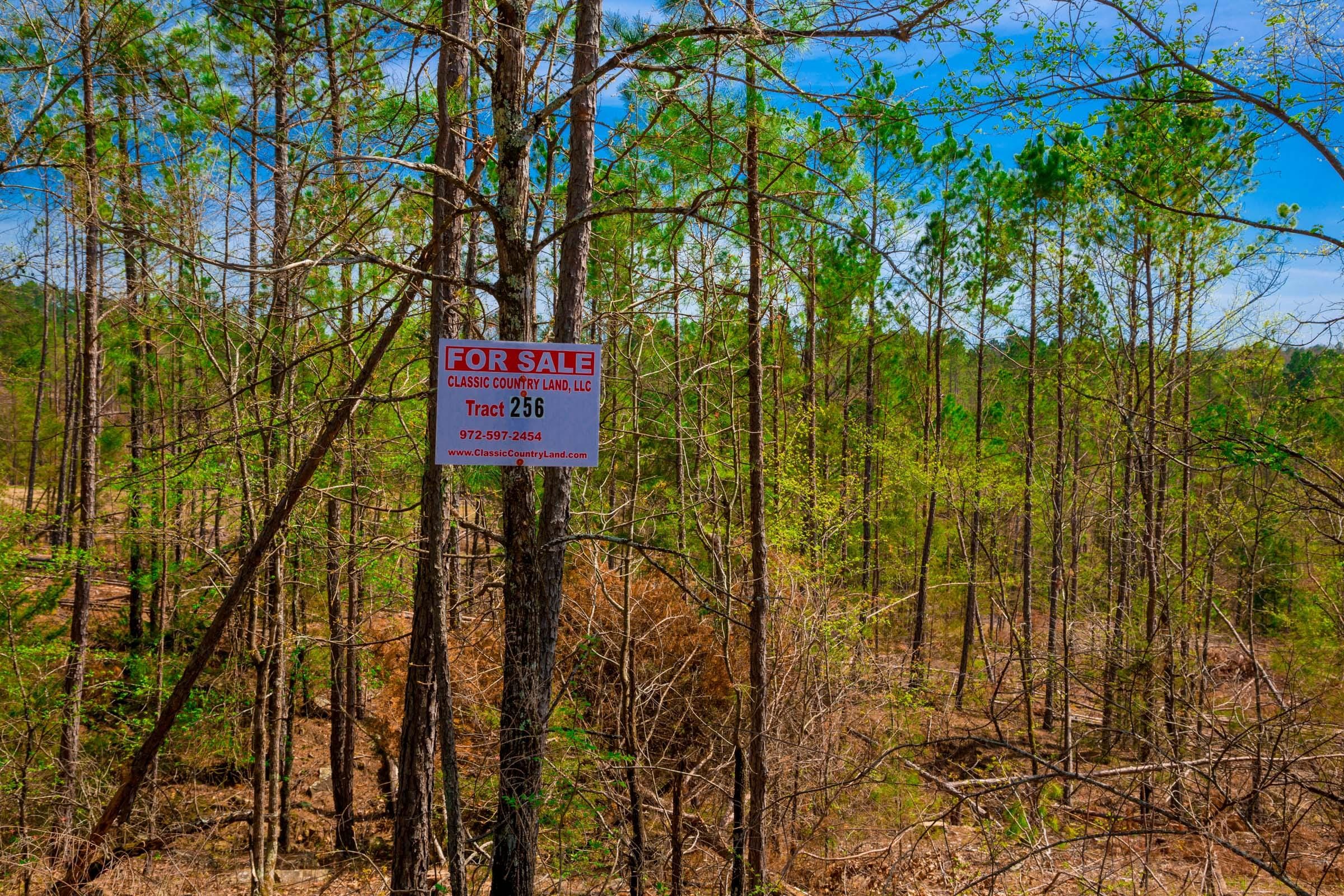 Stone Creek Phase II Tract 256 photo 1