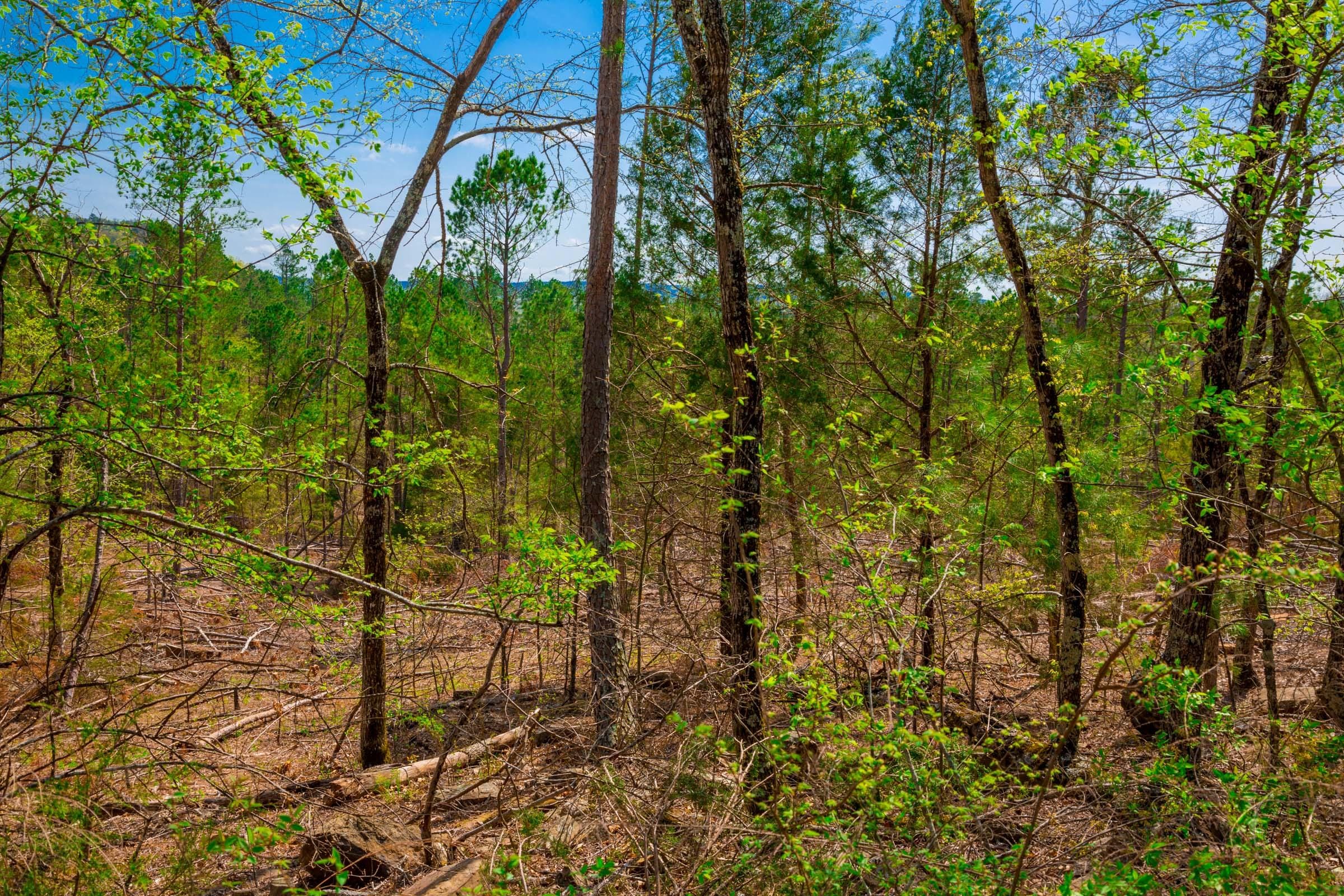Stone Creek Phase II Tract 256 photo 2