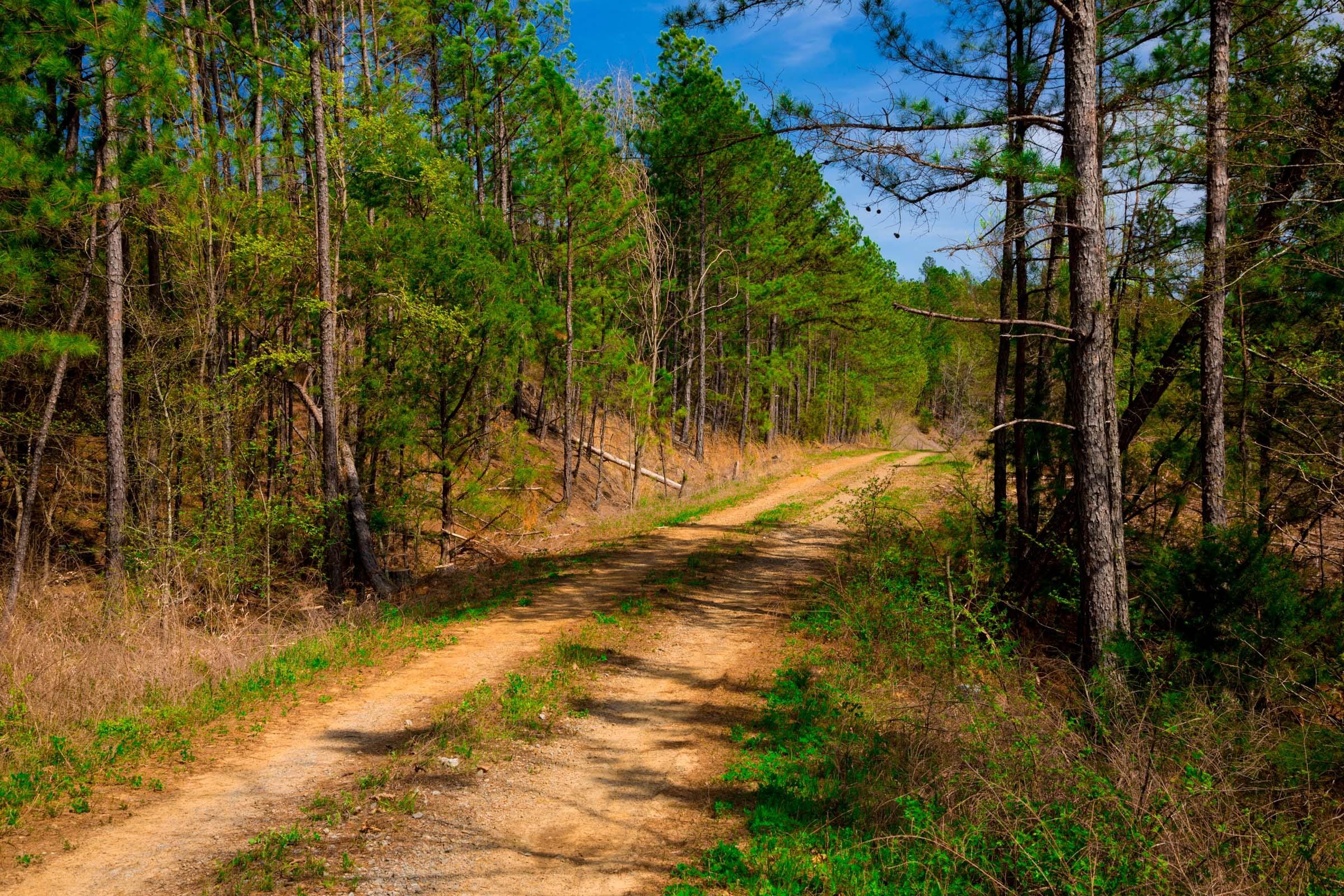 Stone Creek Phase II Tract 256 photo 5