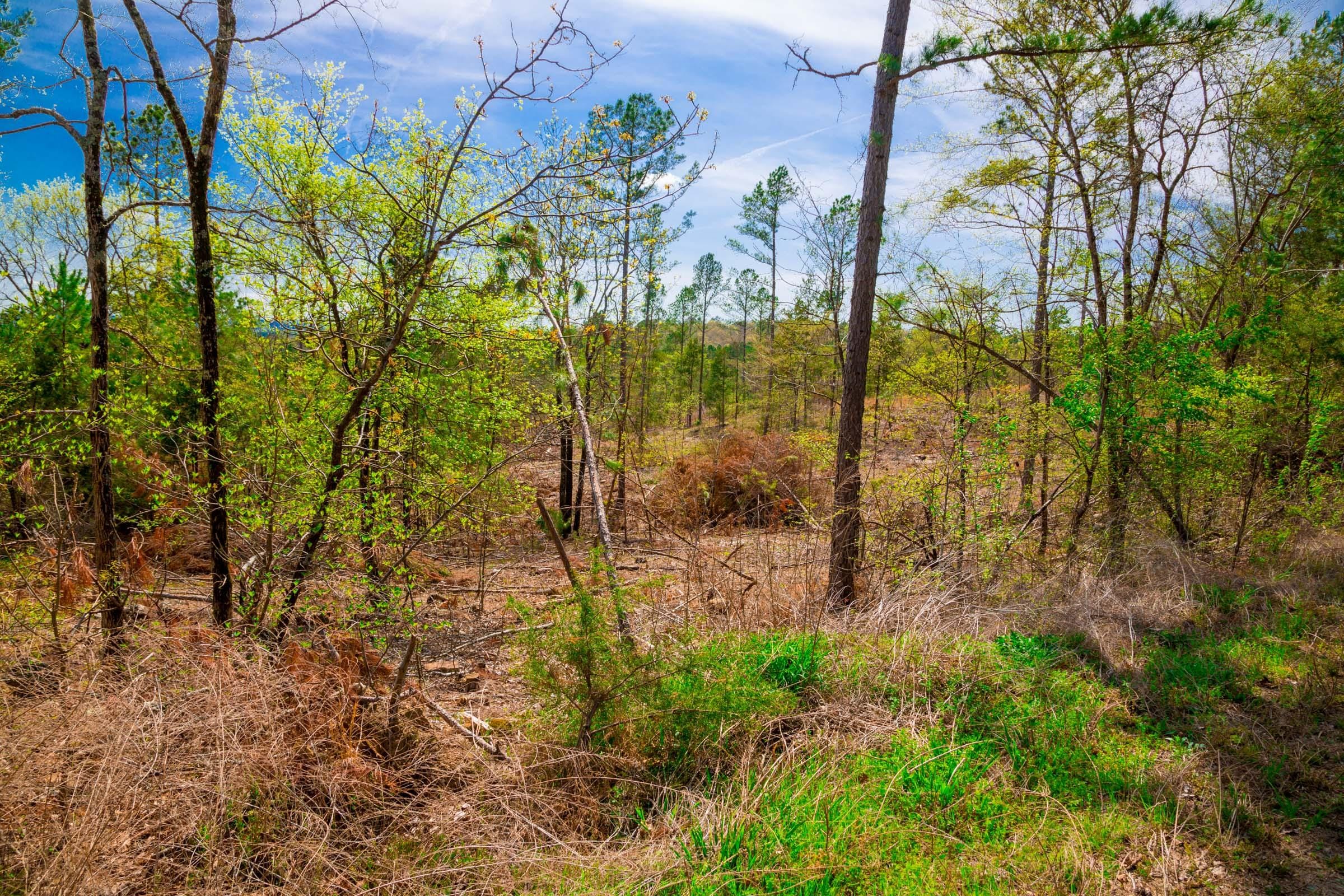 Stone Creek Phase II Tract 256 photo 6