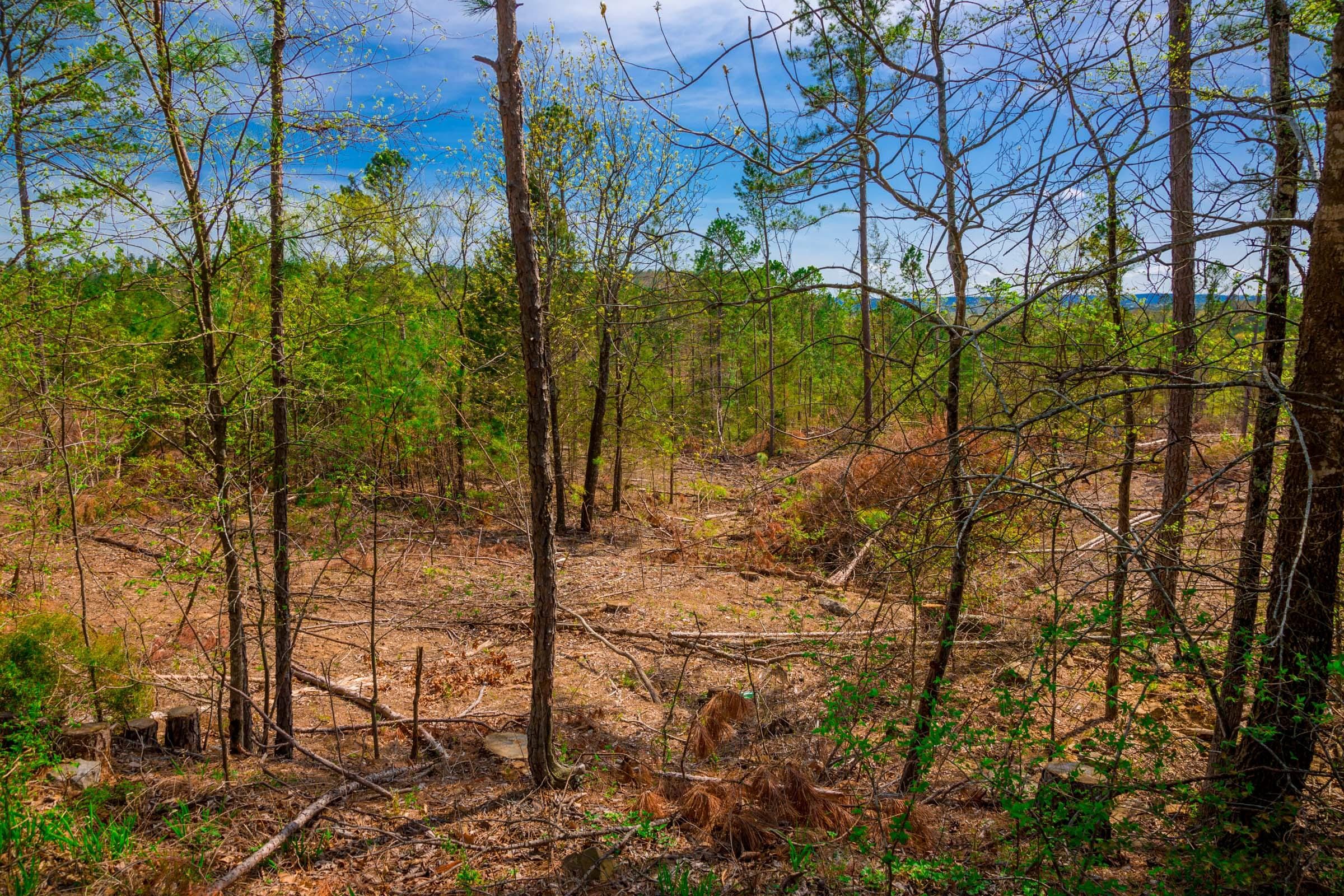 Stone Creek Phase II Tract 256 photo 8