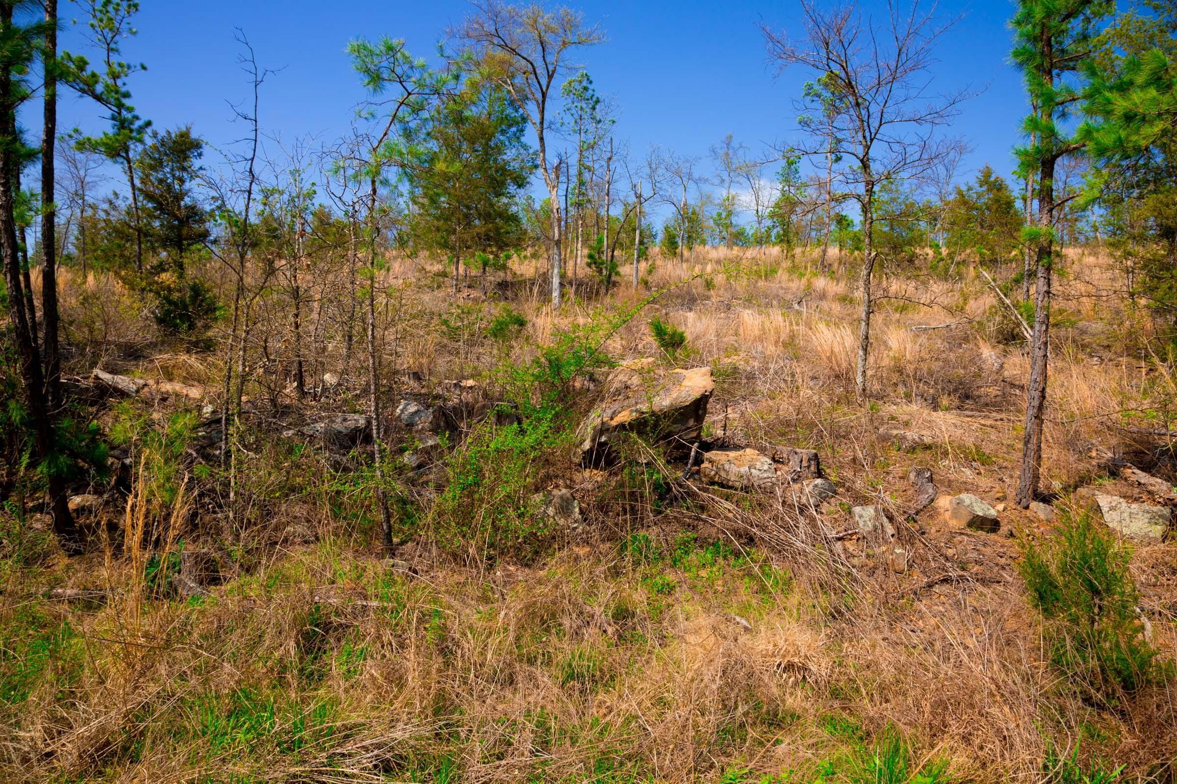 Stone Creek Phase II Tract 256 photo 9