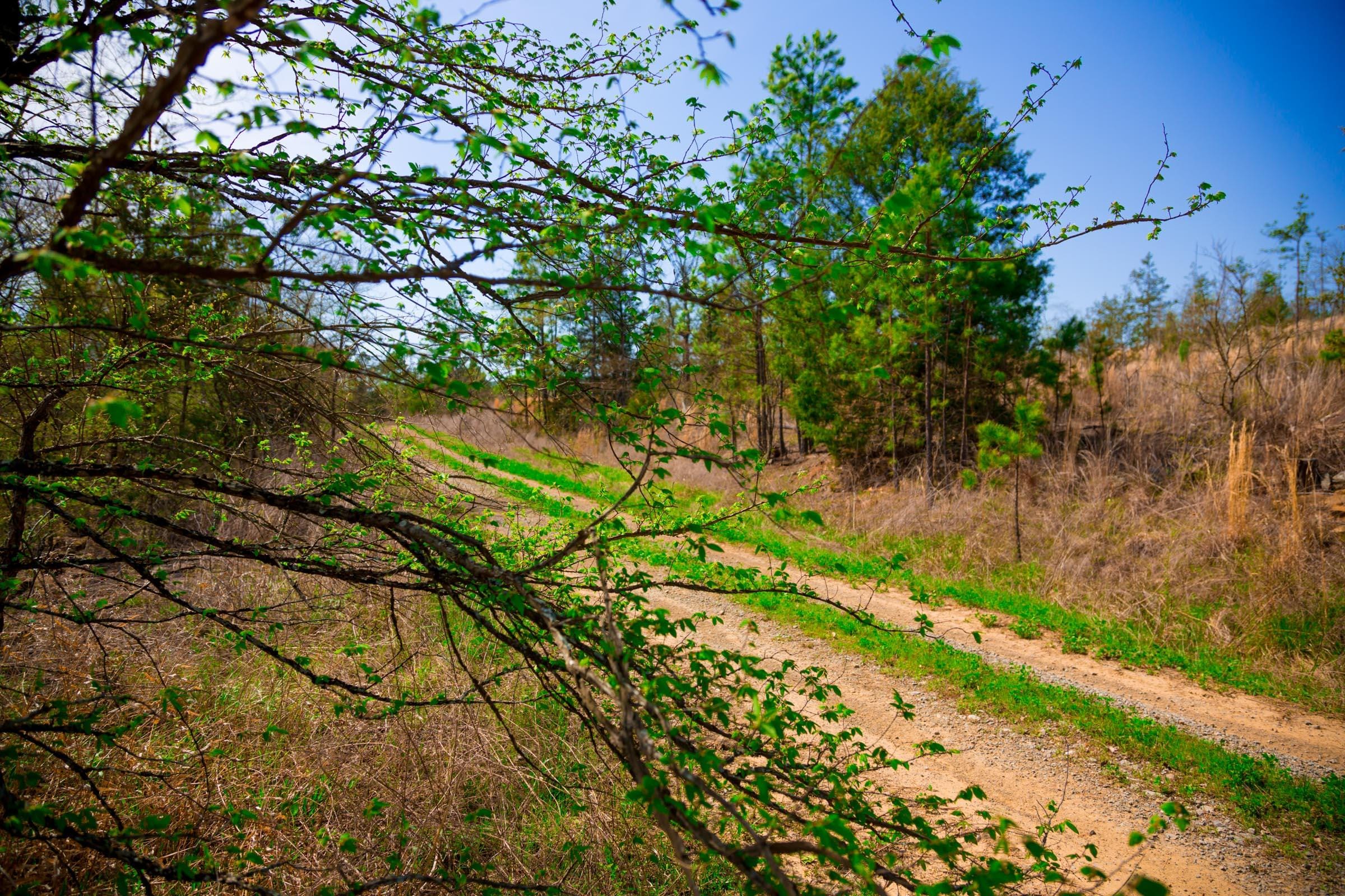 Stone Creek Phase II Tract 256 photo 10