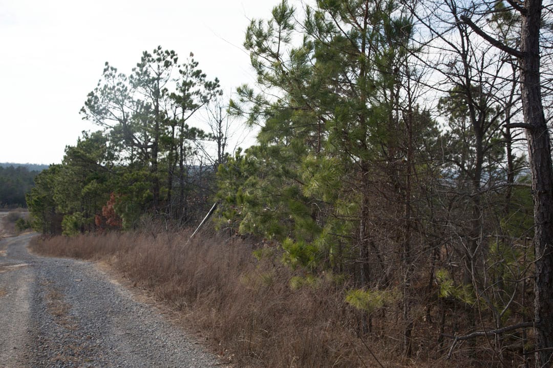 Stone Creek Phase III Tract 87 photo 2