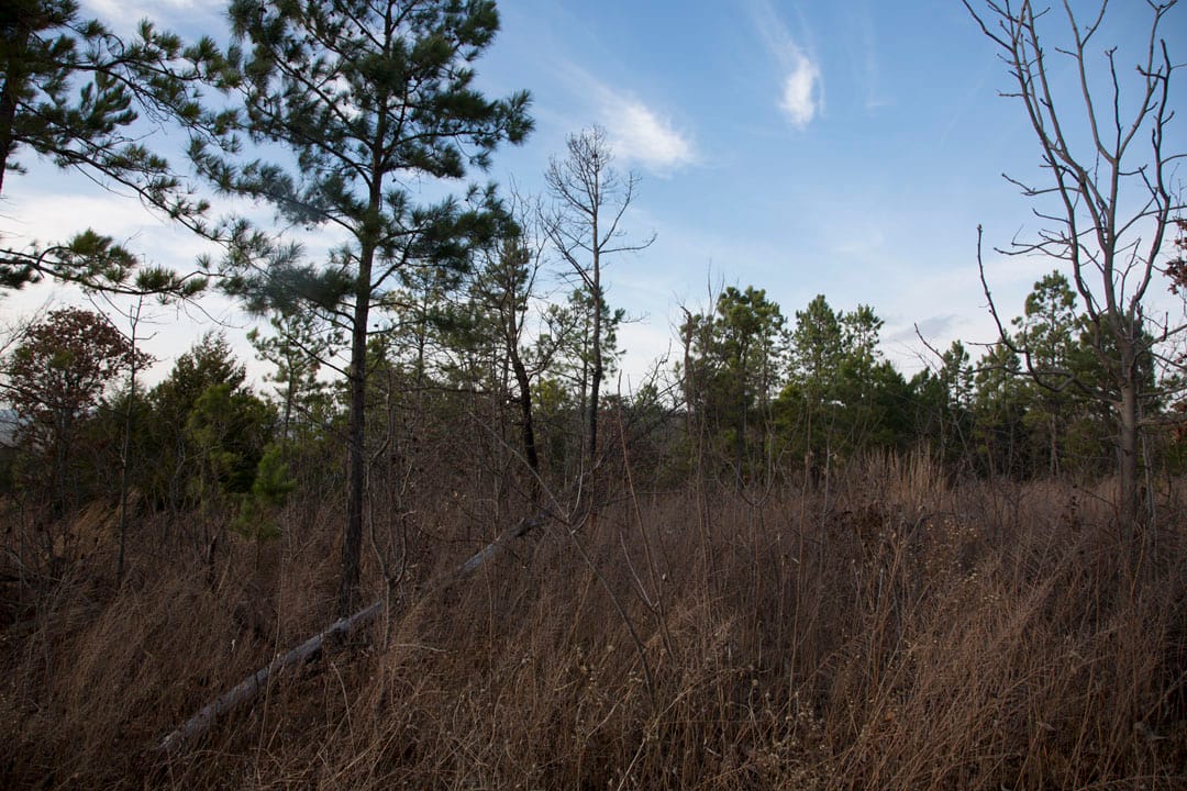 Stone Creek Phase III Tract 87 photo 3