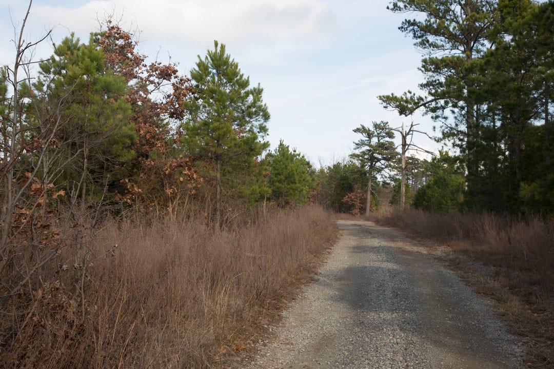 Stone Creek Phase III Tract 87 photo 4