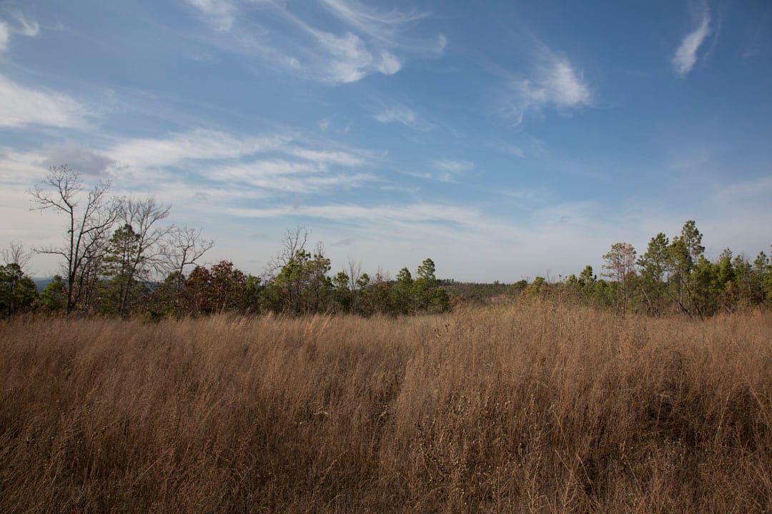 Stone Creek Phase III Tract 87 photo 5
