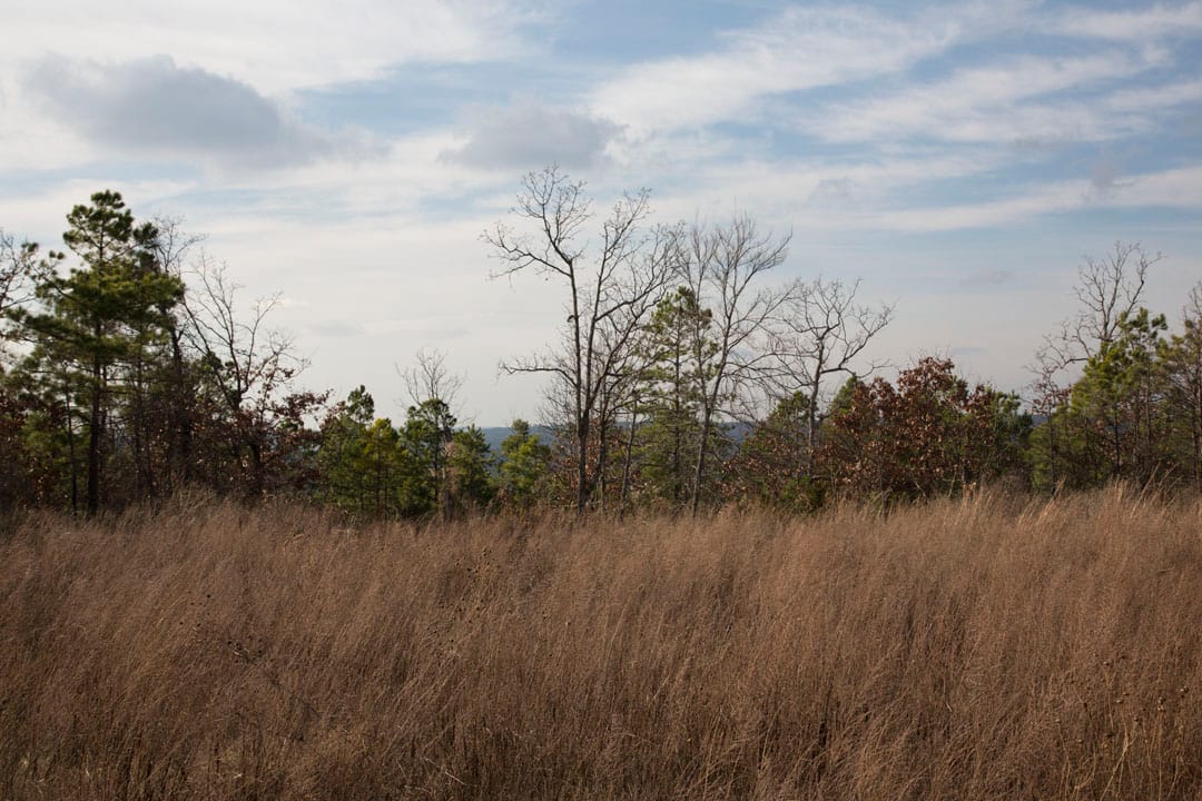 Stone Creek Phase III Tract 87 photo 6