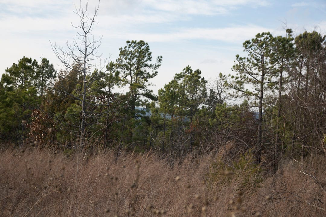 Stone Creek Phase III Tract 87 photo 9