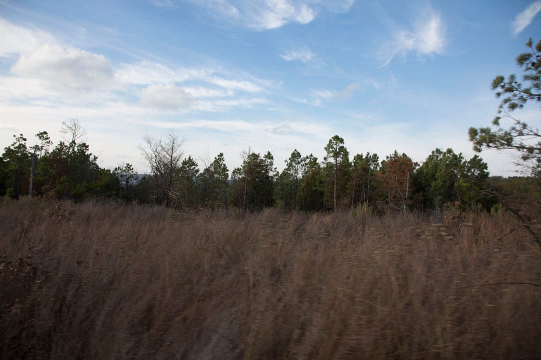 Stone Creek Phase III Tract 87 photo 10