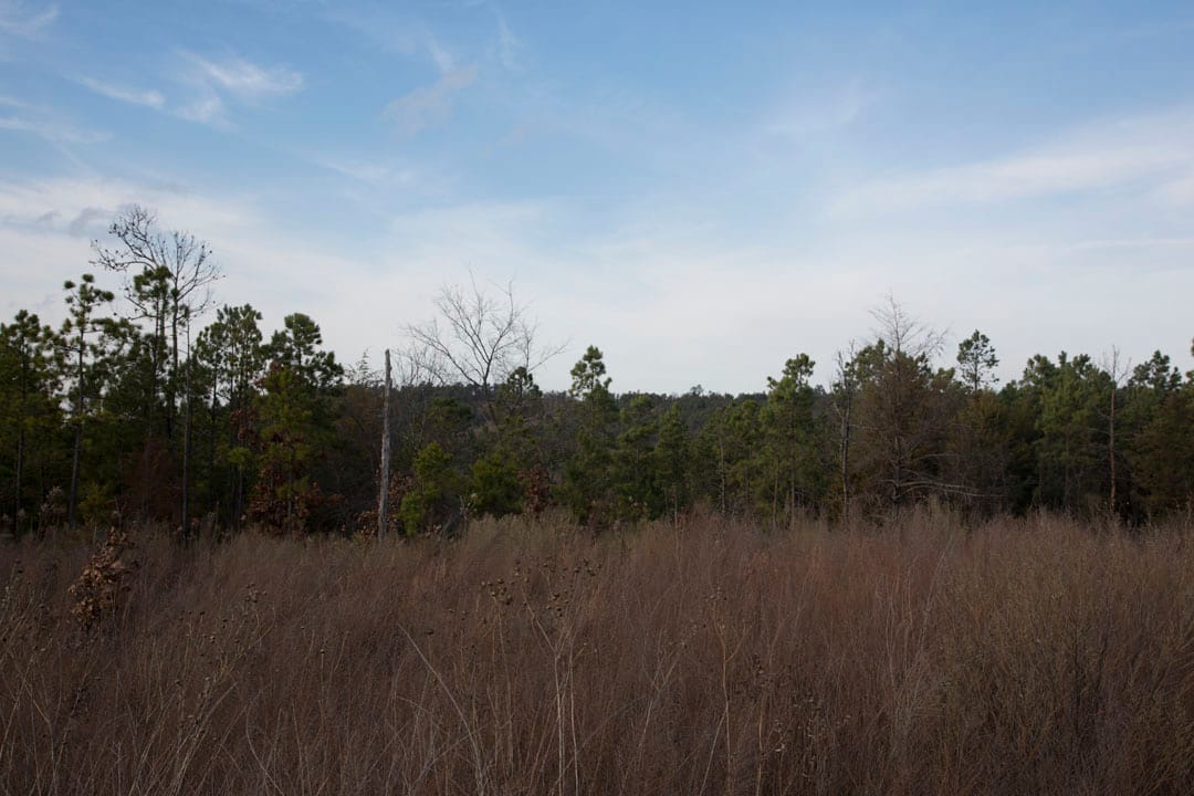 Stone Creek Phase III Tract 87 photo 11