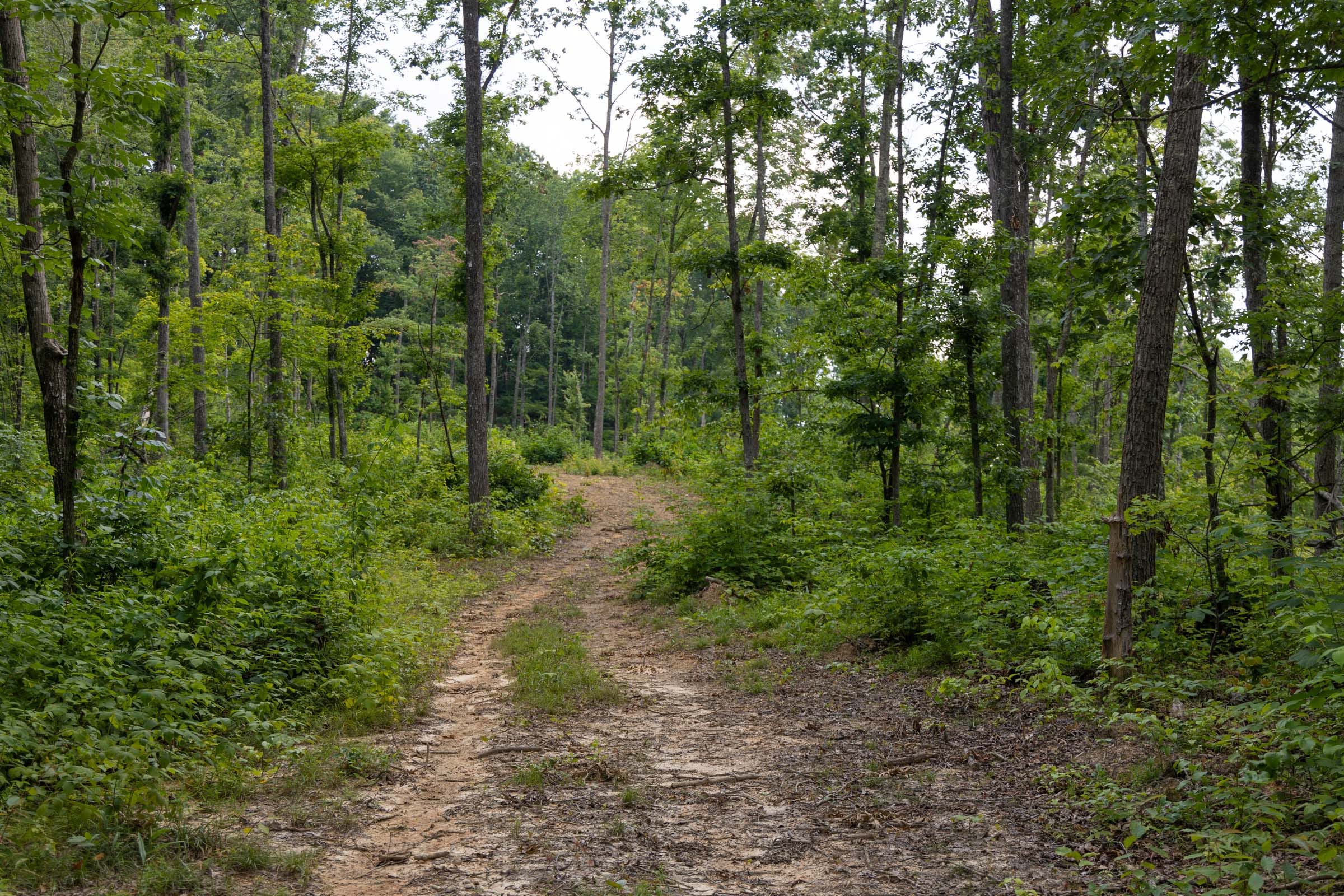 Creek Hollow Phase II Tract 60 photo 1