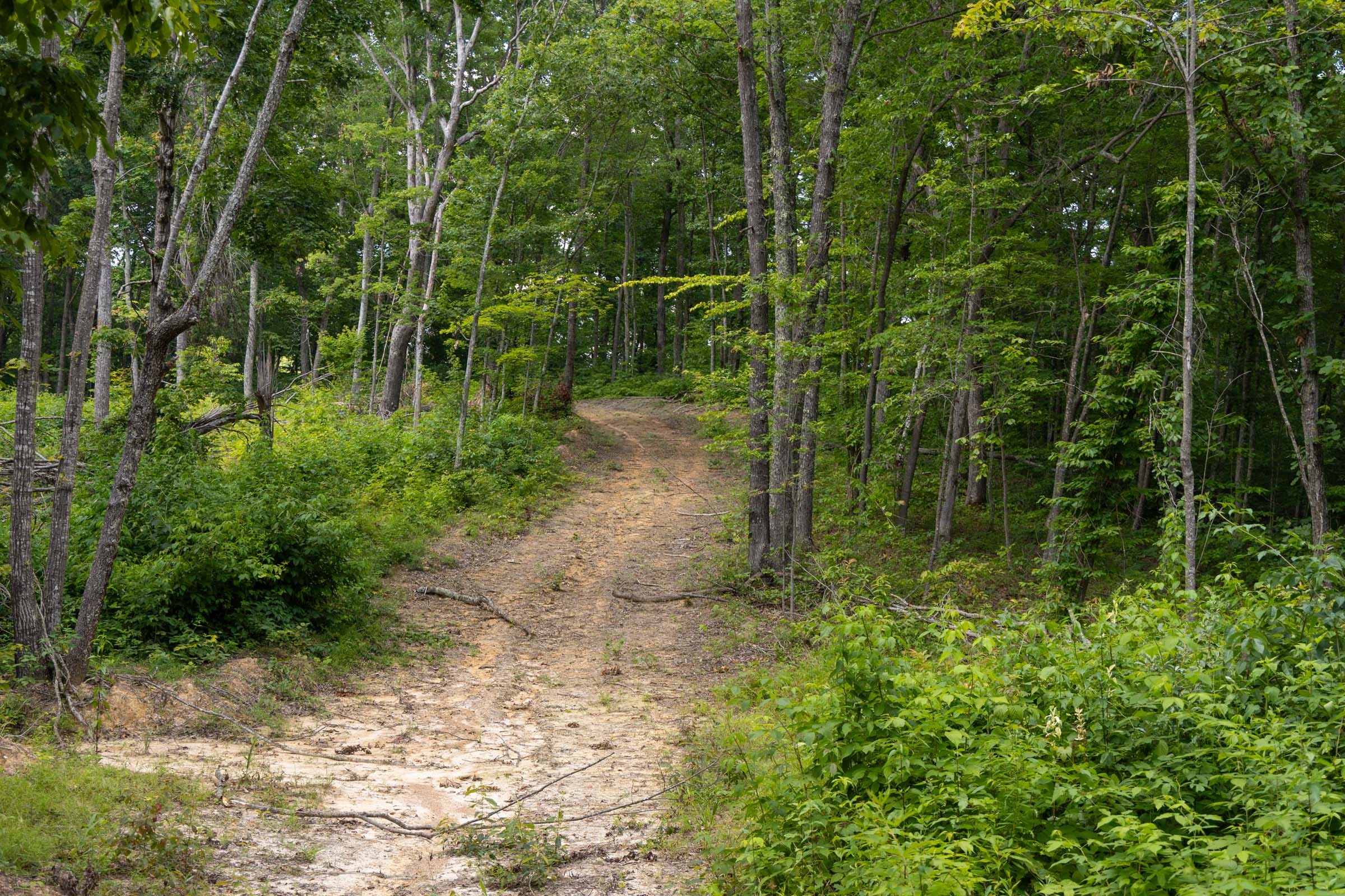 Creek Hollow Phase II Tract 60 photo 5