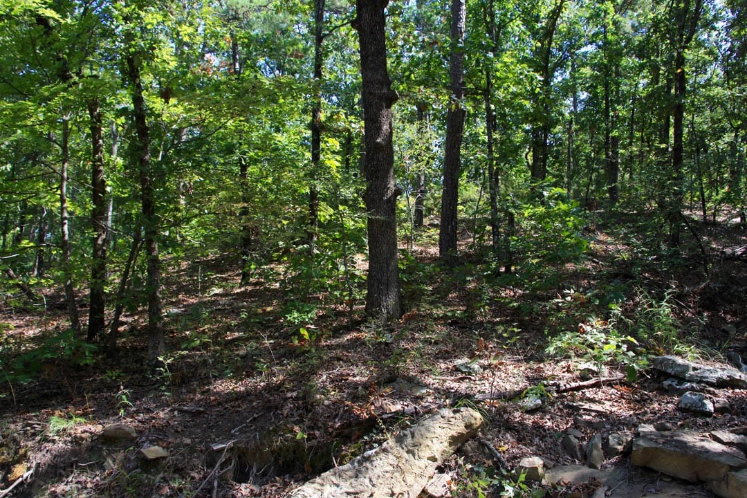 Lakeview Private Reserve Tract 20 photo 2