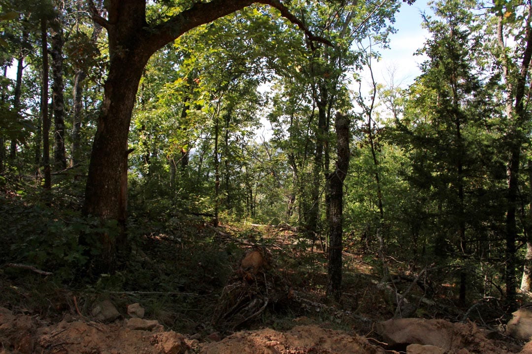 Lakeview Private Reserve Tract 20 photo 3