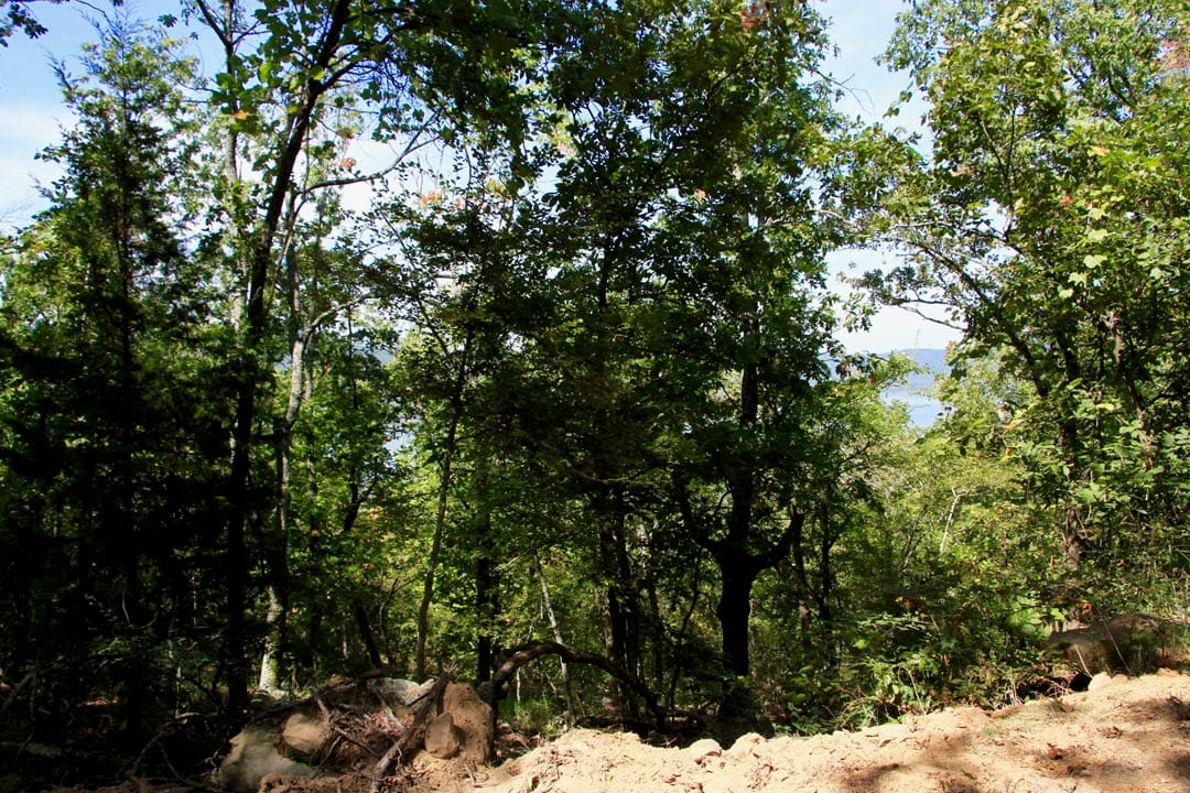 Lakeview Private Reserve Tract 20 photo 4