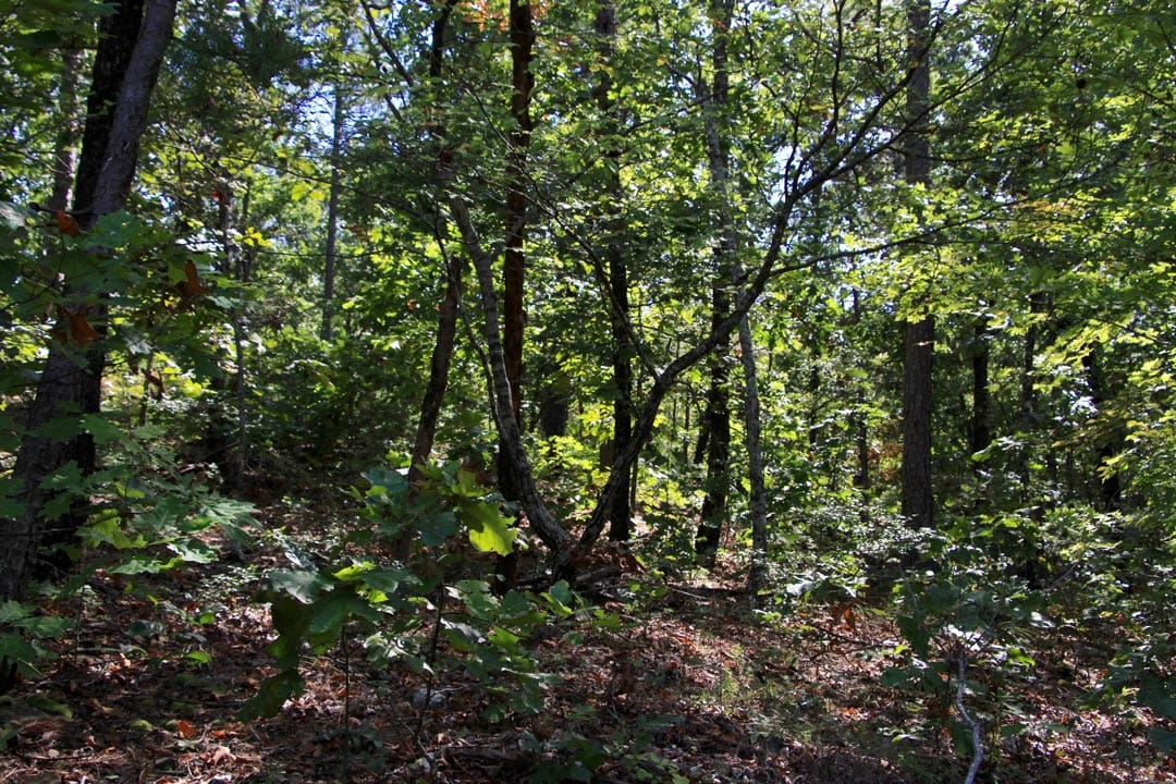 Lakeview Private Reserve Tract 20 photo 6