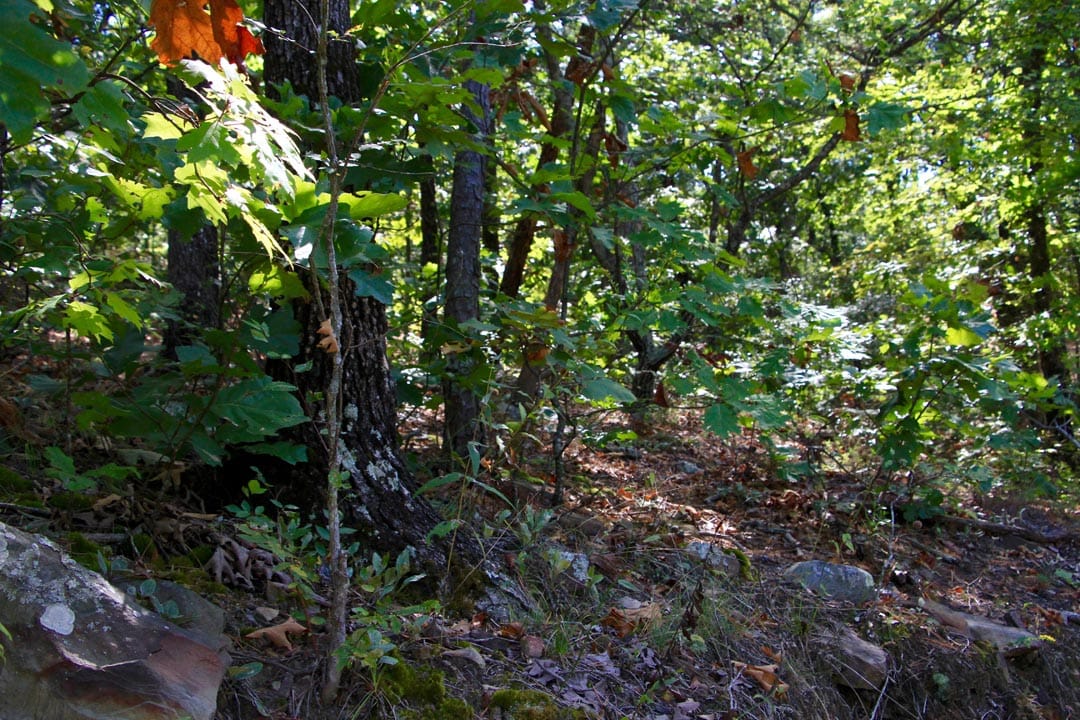 Lakeview Private Reserve Tract 20 photo 8