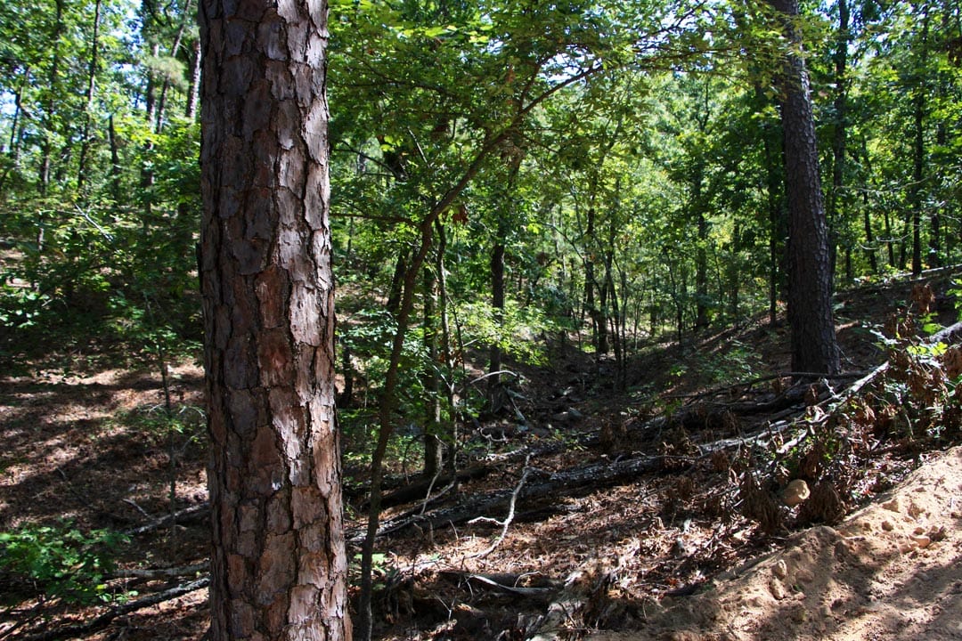 Lakeview Private Reserve Tract 20 photo 9