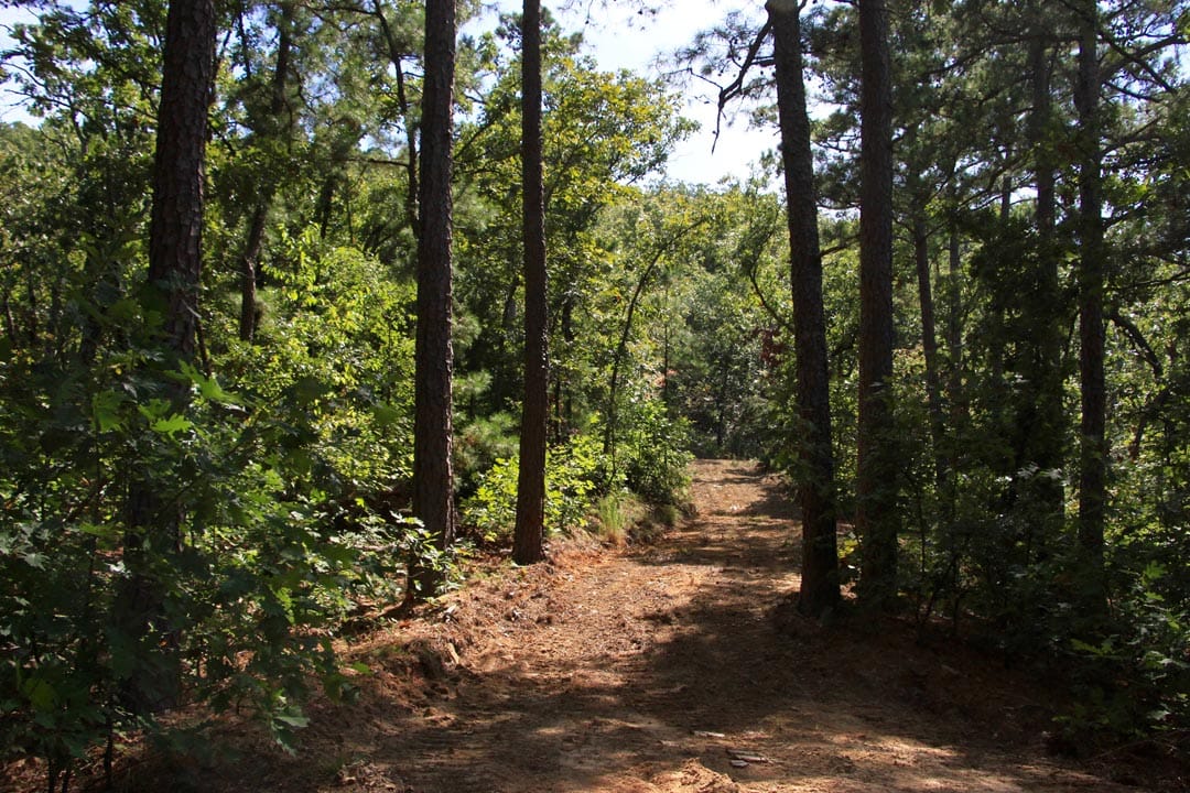 Lakeview Private Reserve Tract 20 photo 10