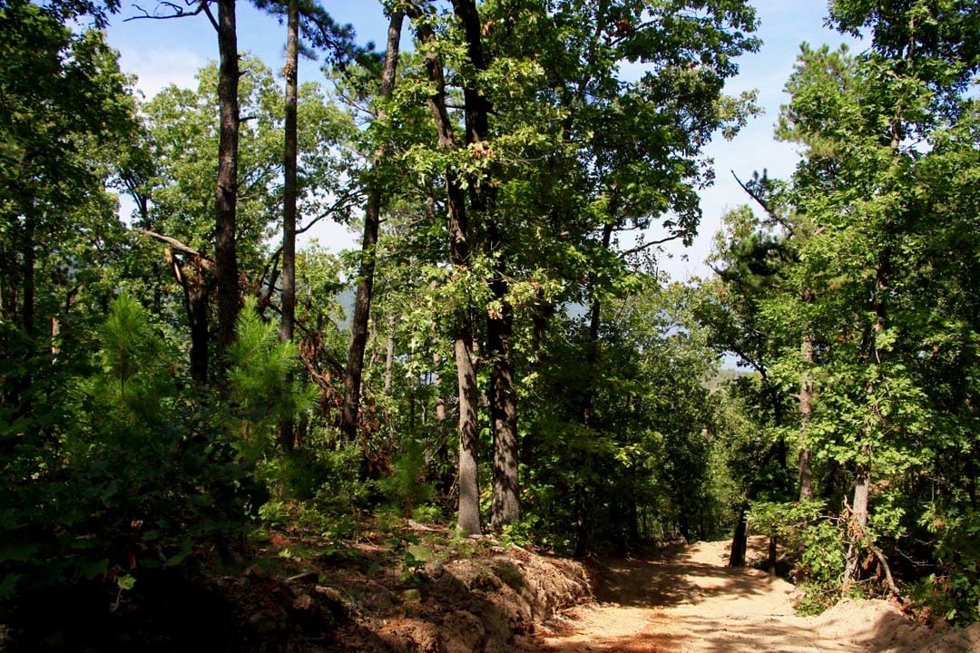 Lakeview Private Reserve Tract 20 photo 11