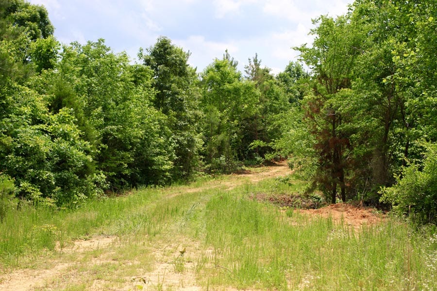 Bluebird Ranch Tract 17 photo 2
