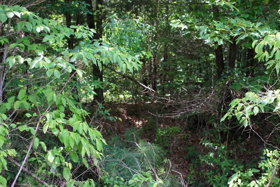 Bluebird Ranch Tract 17 photo 6
