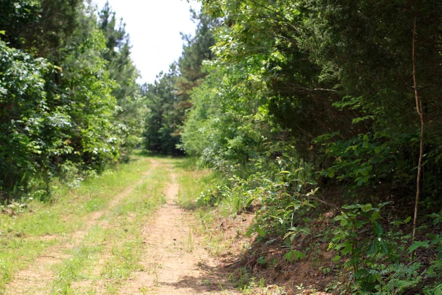 Bluebird Ranch Tract 17 photo 12