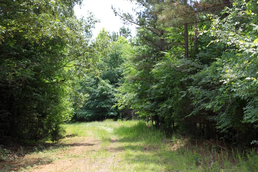 Bluebird Ranch Tract 17 photo 16