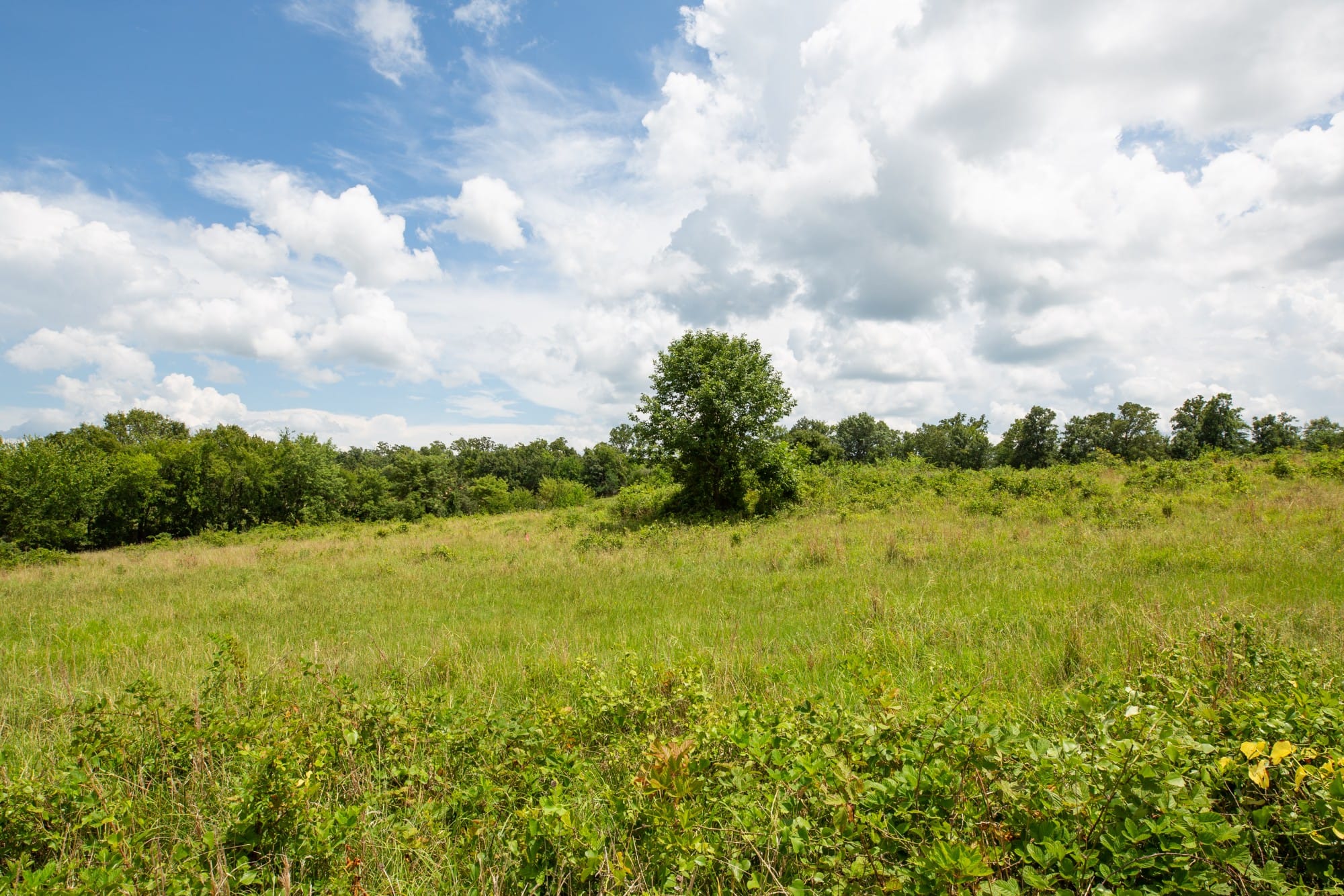 Paradise Valley Tract 14 photo 2