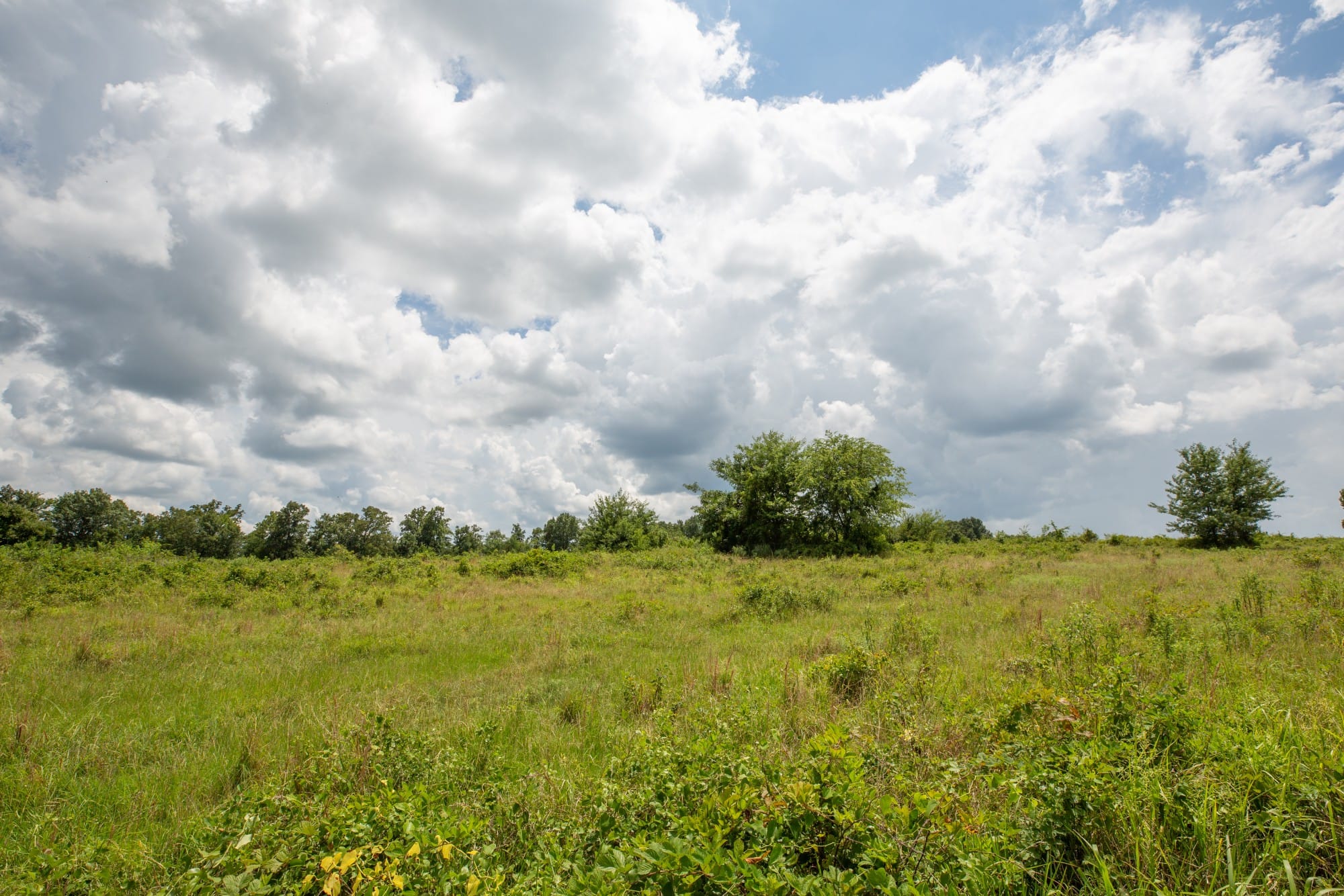 Paradise Valley Tract 14 photo 3
