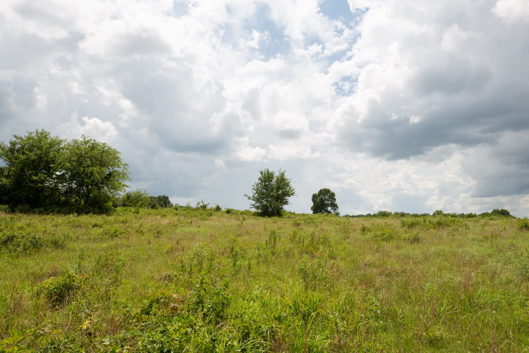 Paradise Valley Tract 14 photo 4