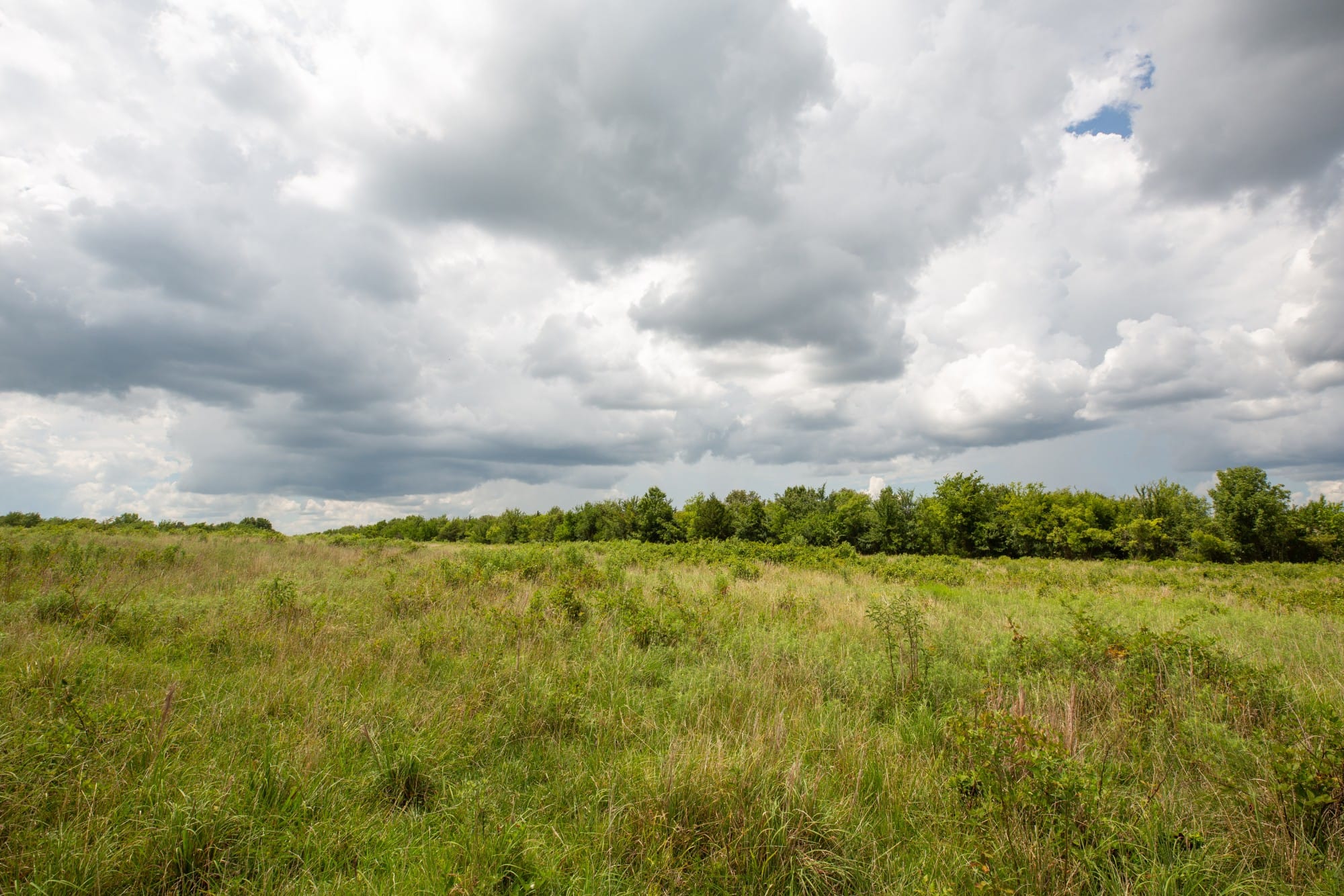 Paradise Valley Tract 14 photo 6