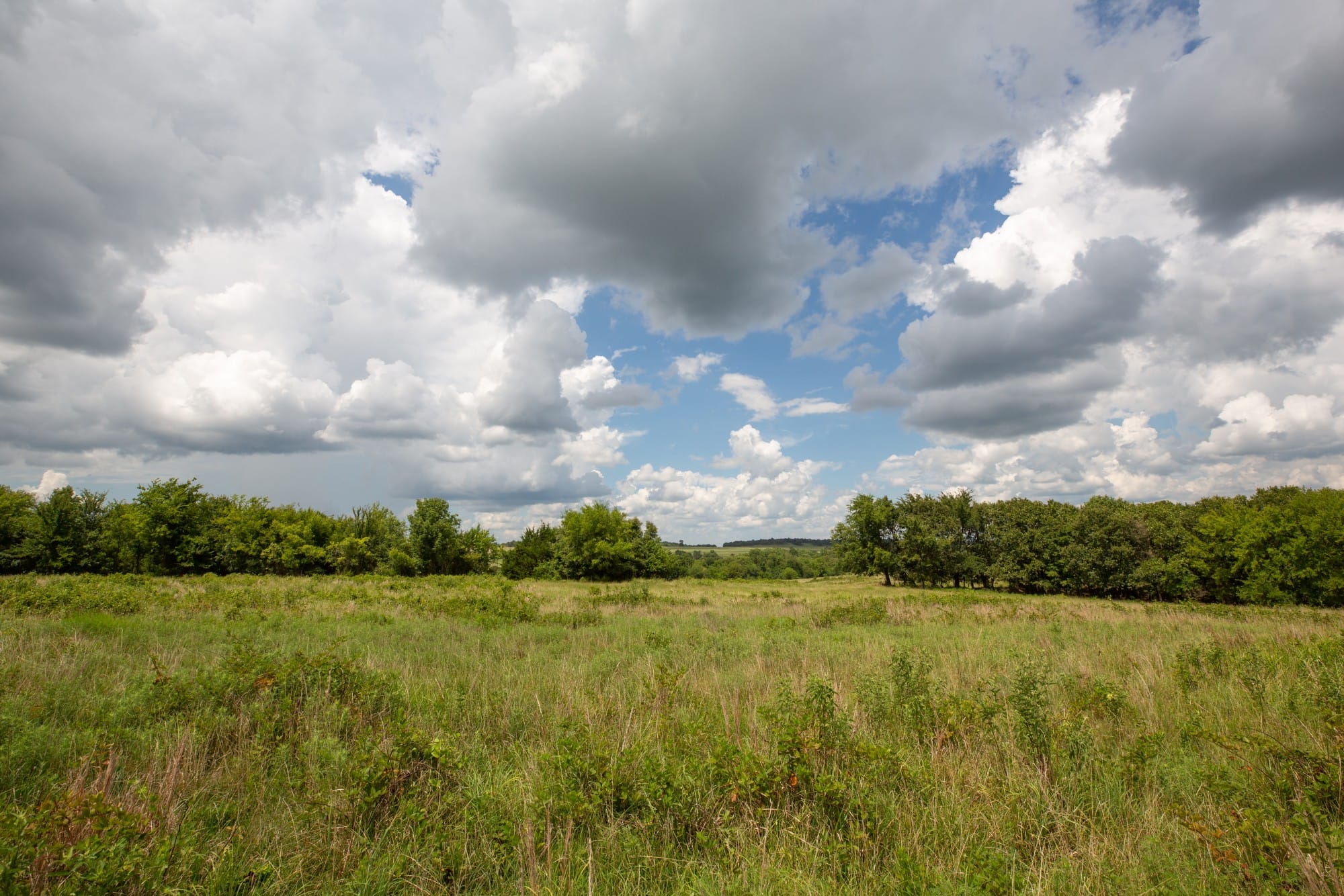 Paradise Valley Tract 14 photo 7