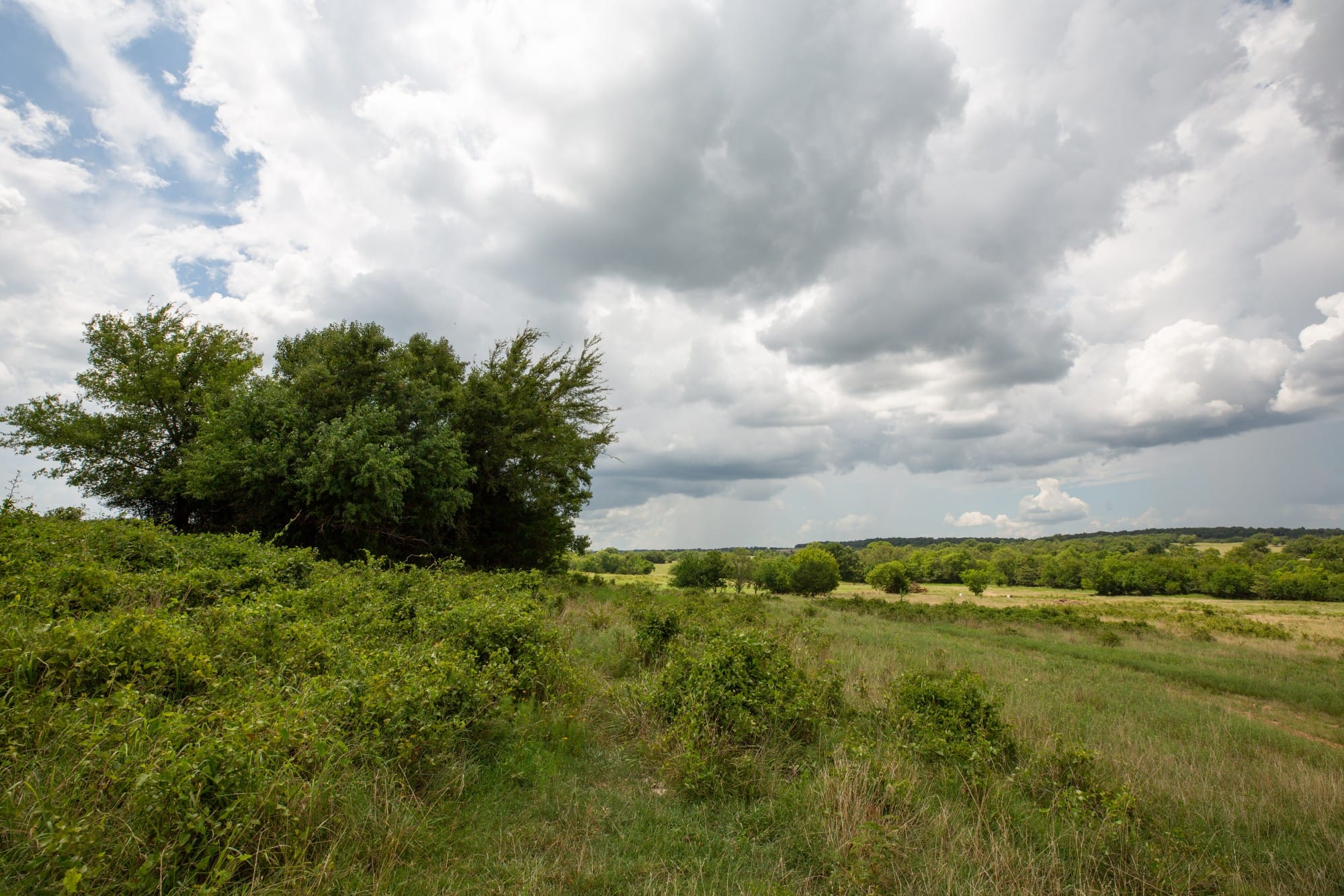 Paradise Valley Tract 14 photo 5