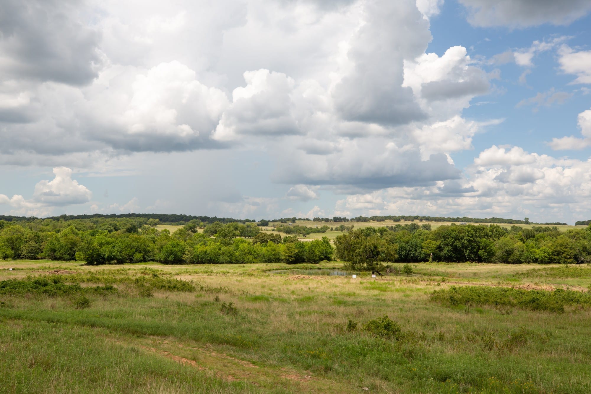Paradise Valley Tract 14 photo 8