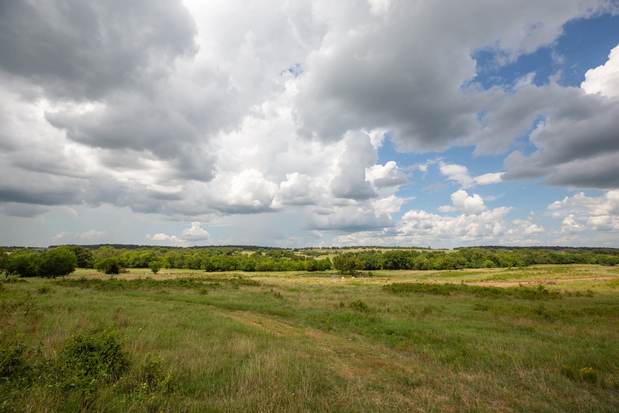 Paradise Valley Tract 14 photo 9