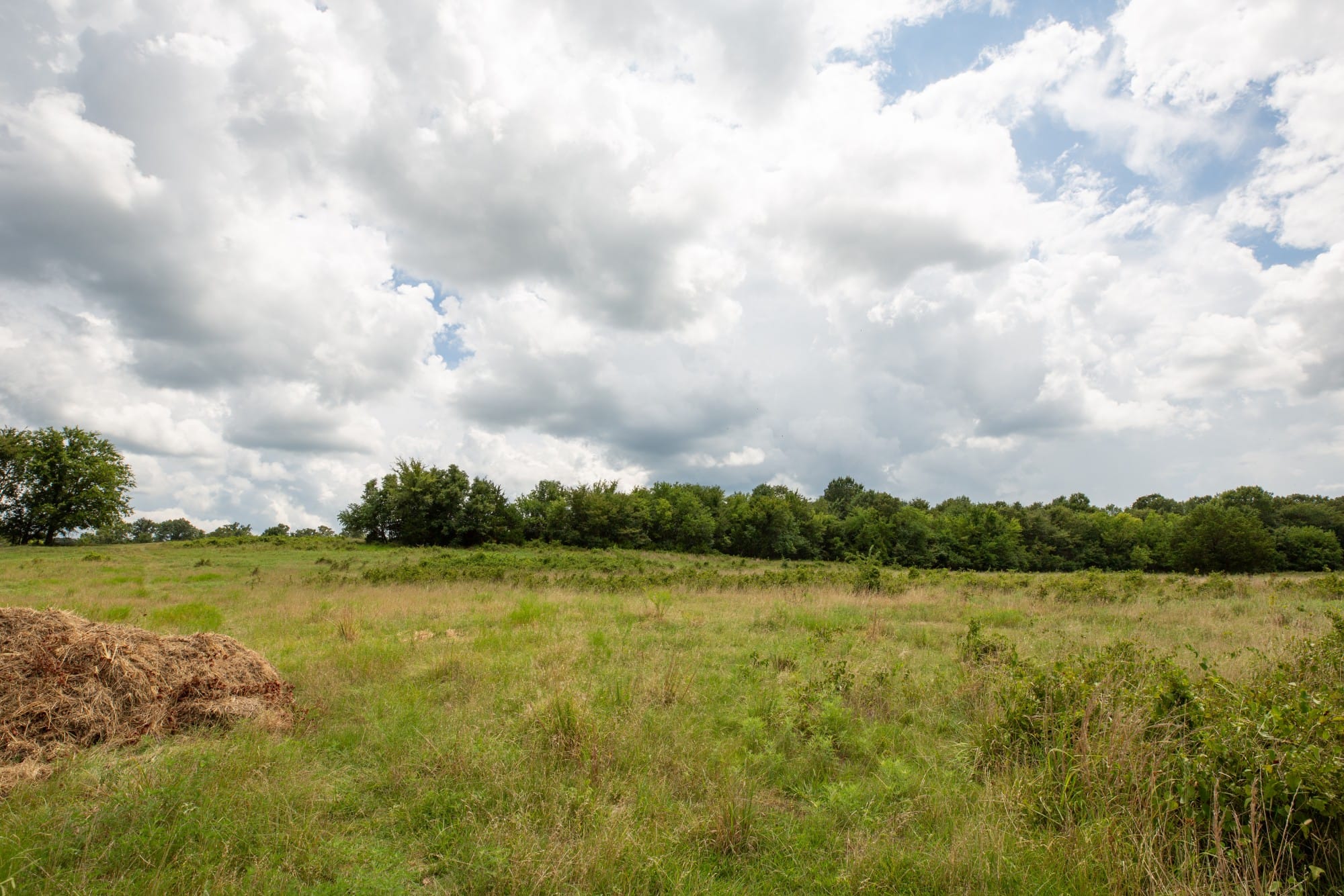 Paradise Valley Tract 14 photo 10