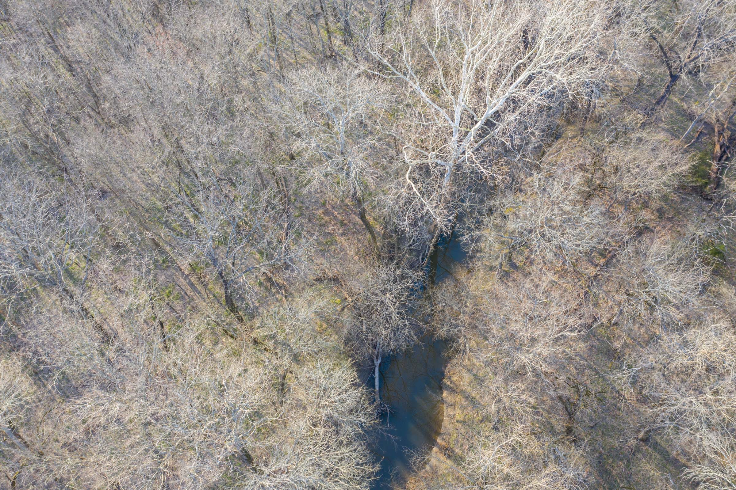 Wishing Star Ranch Tract 97 photo 3