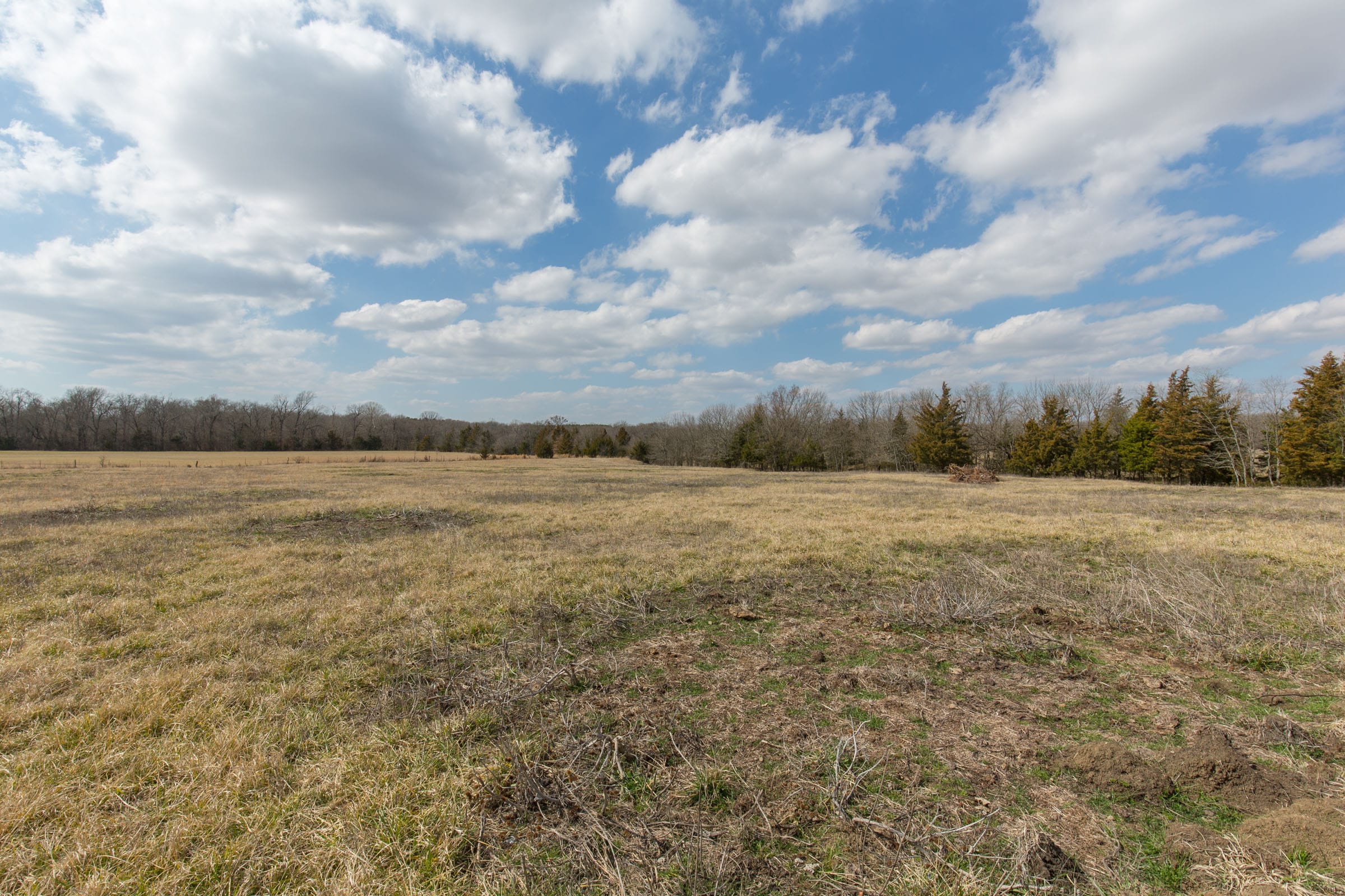Wishing Star Ranch Tract 97 photo 5