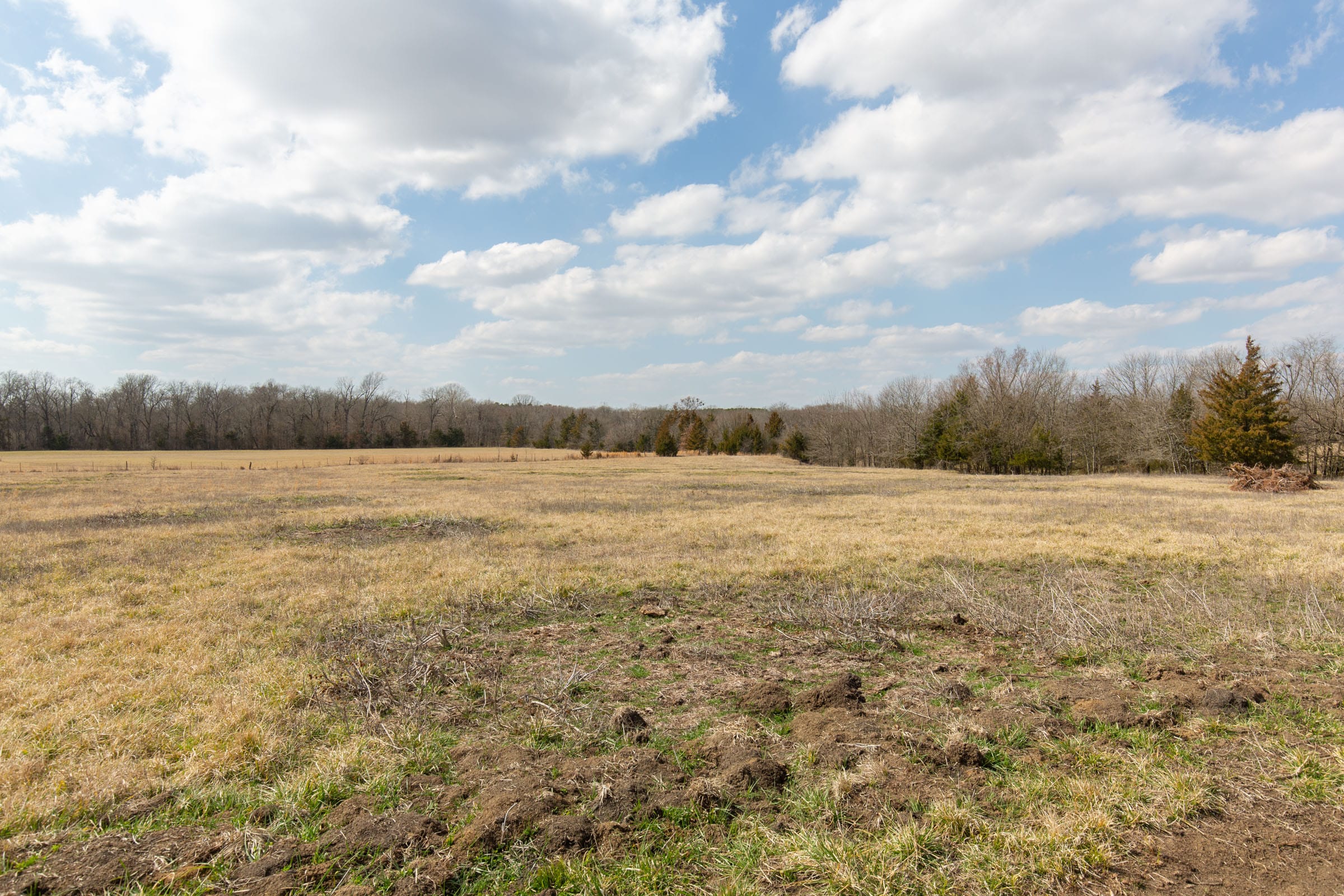 Wishing Star Ranch Tract 97 photo 6