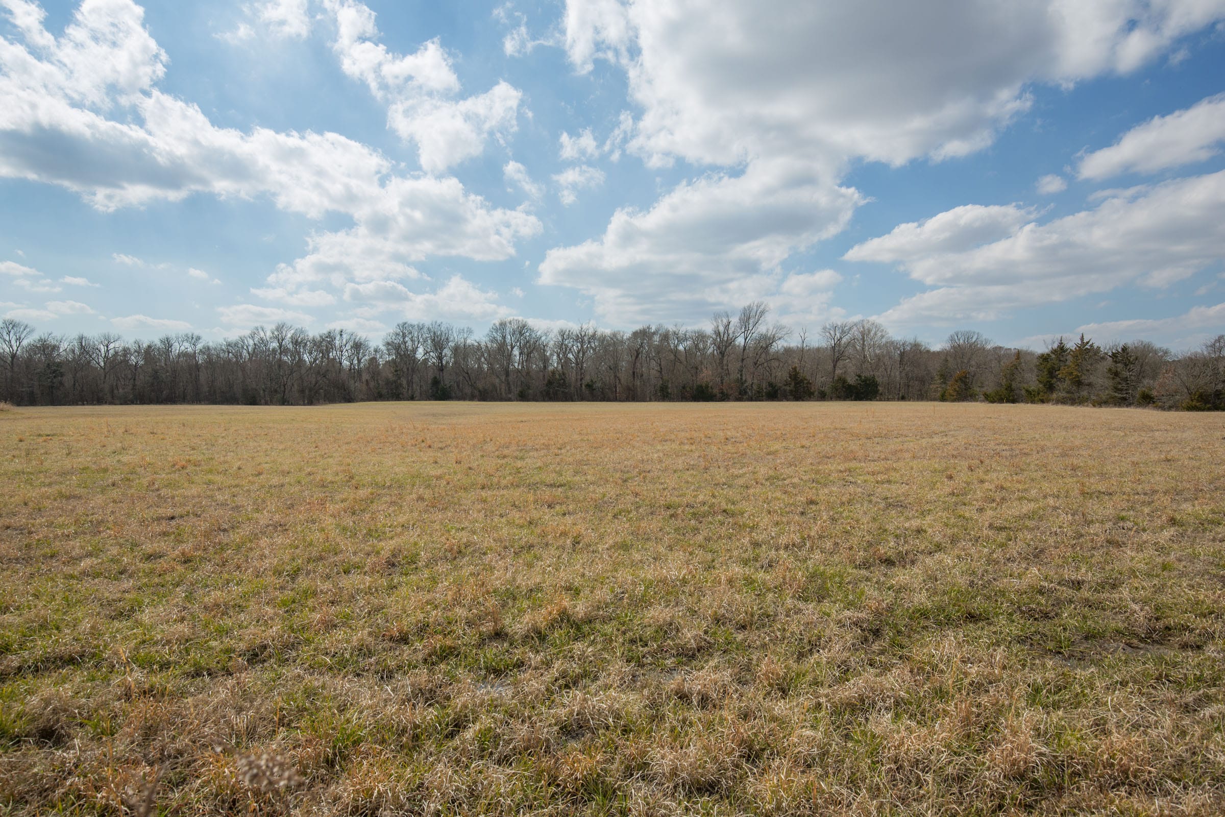 Wishing Star Ranch Tract 97 photo 10