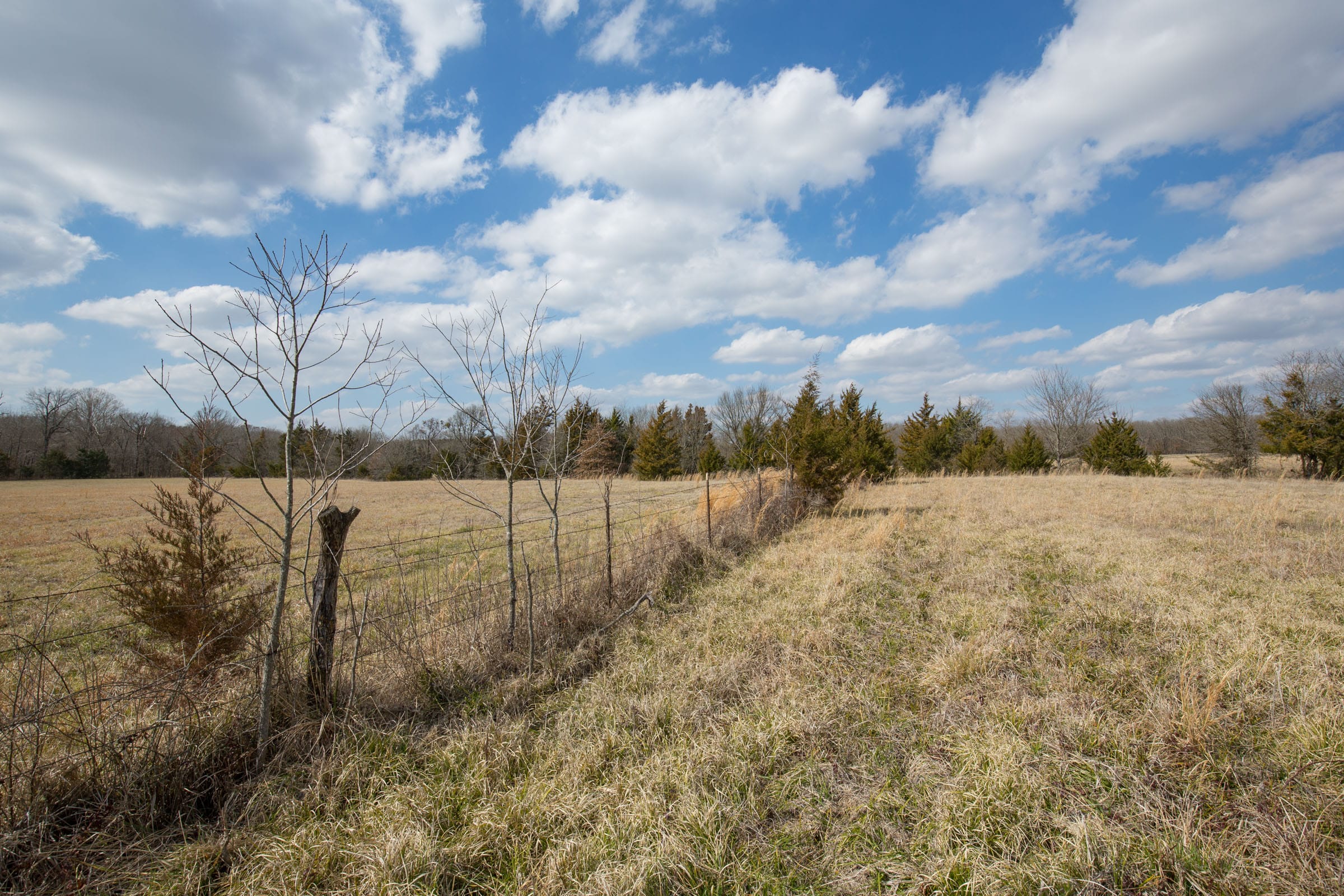 Wishing Star Ranch Tract 97 photo 11