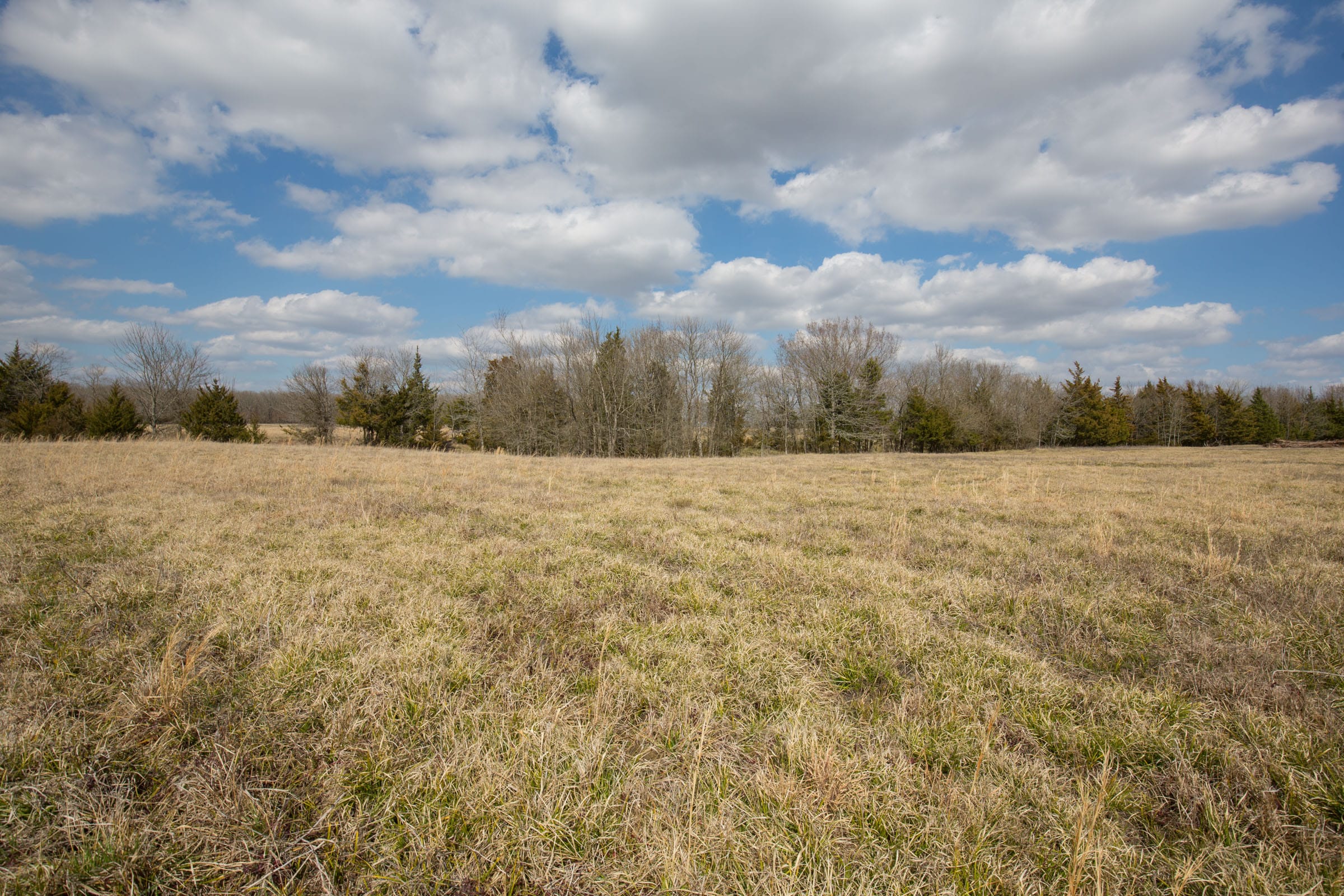 Wishing Star Ranch Tract 97 photo 12
