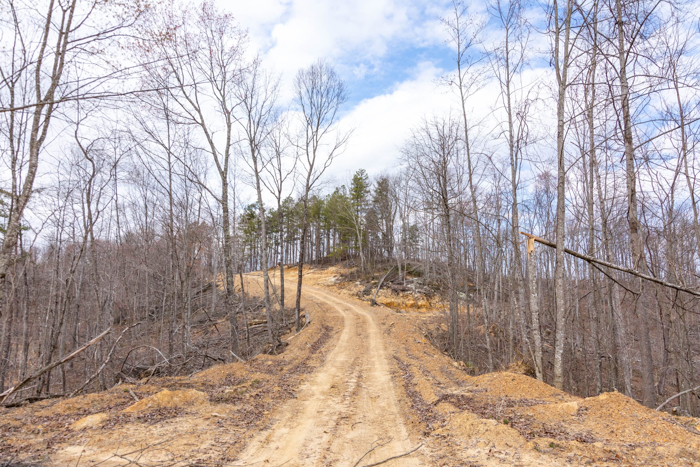 Creek Hollow Phase I Tract 32 photo 4