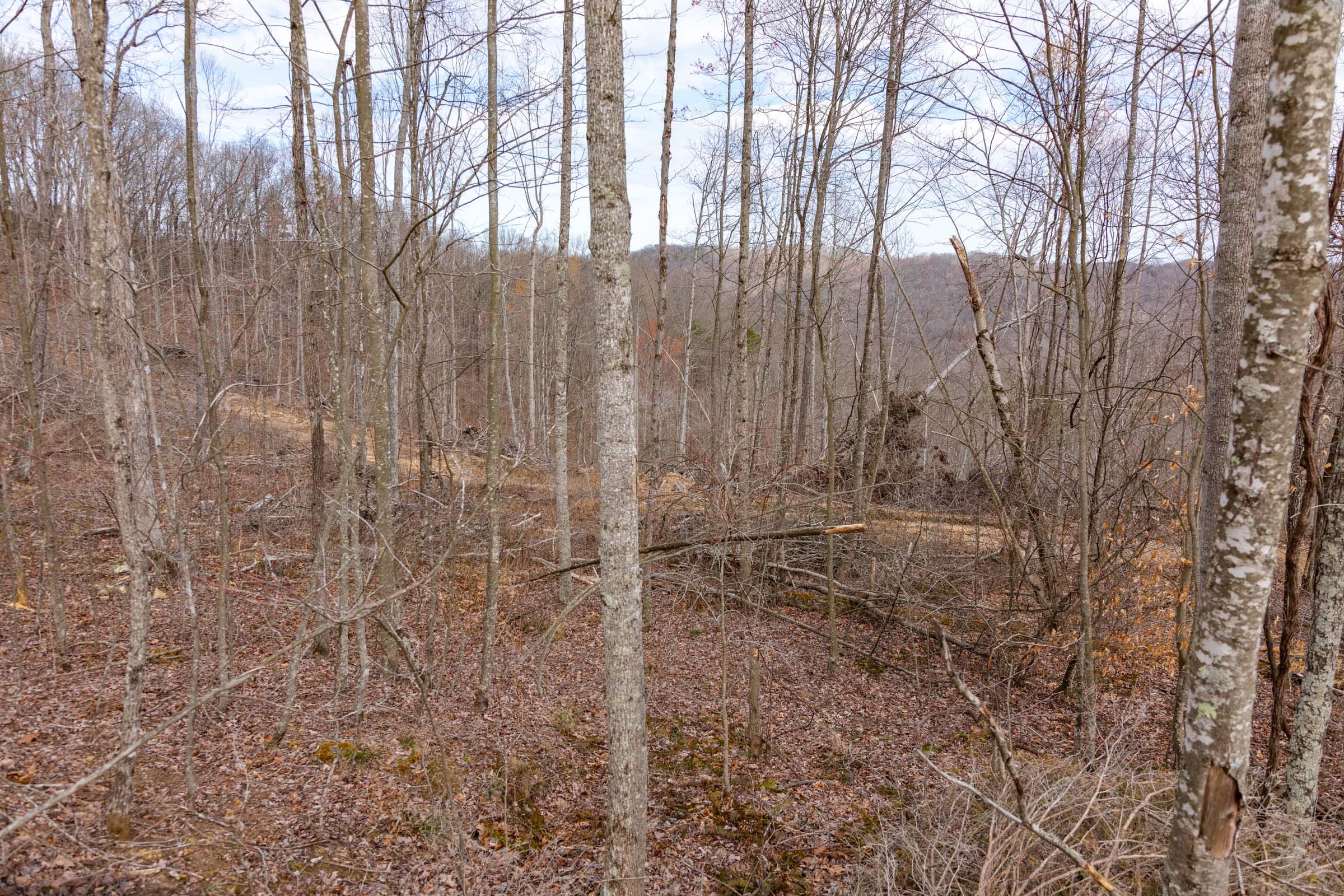 Creek Hollow Phase I Tract 32 photo 3
